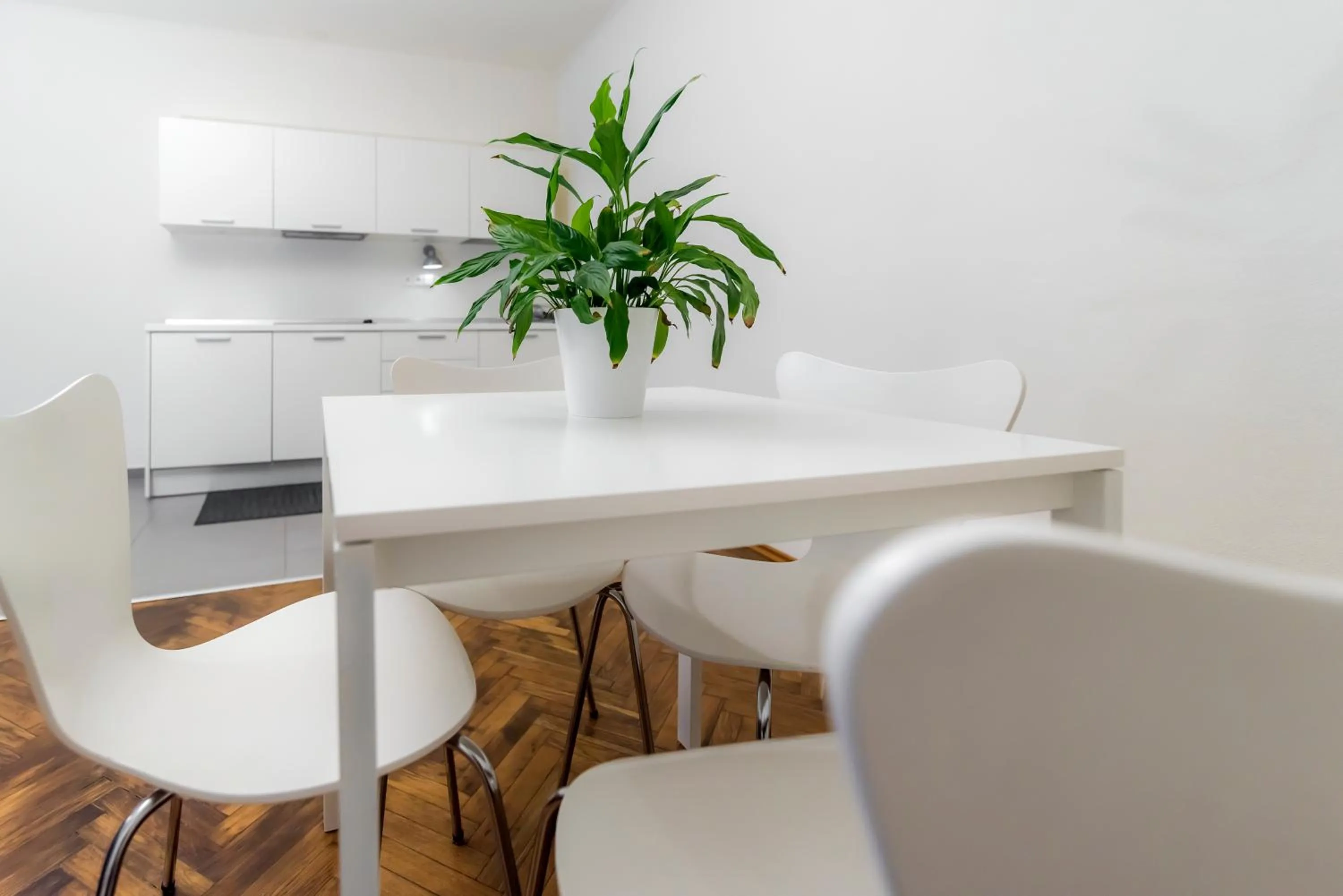 Kitchen or kitchenette in TGM Hotel Residence