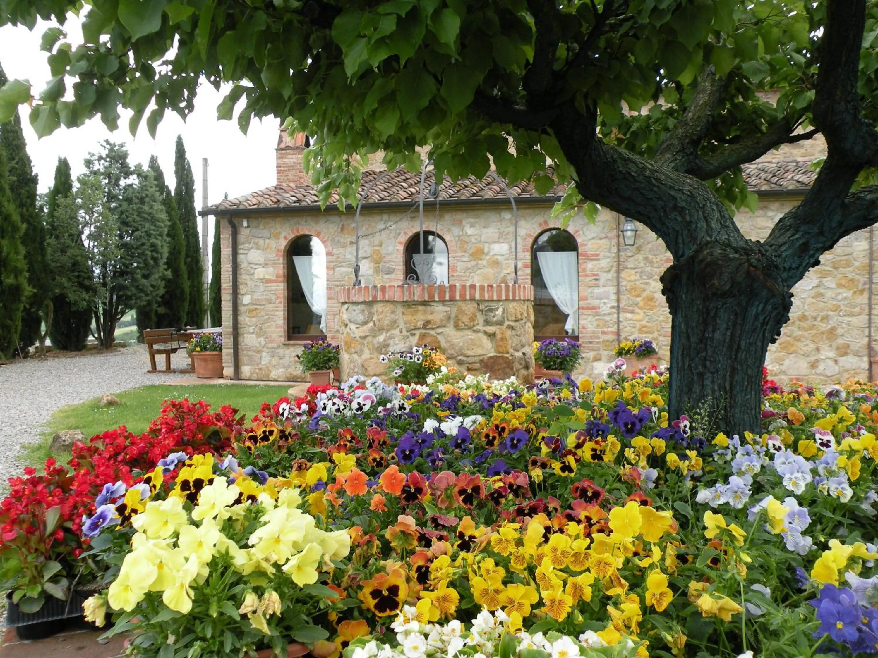 Spring in Agriturismo Bonello