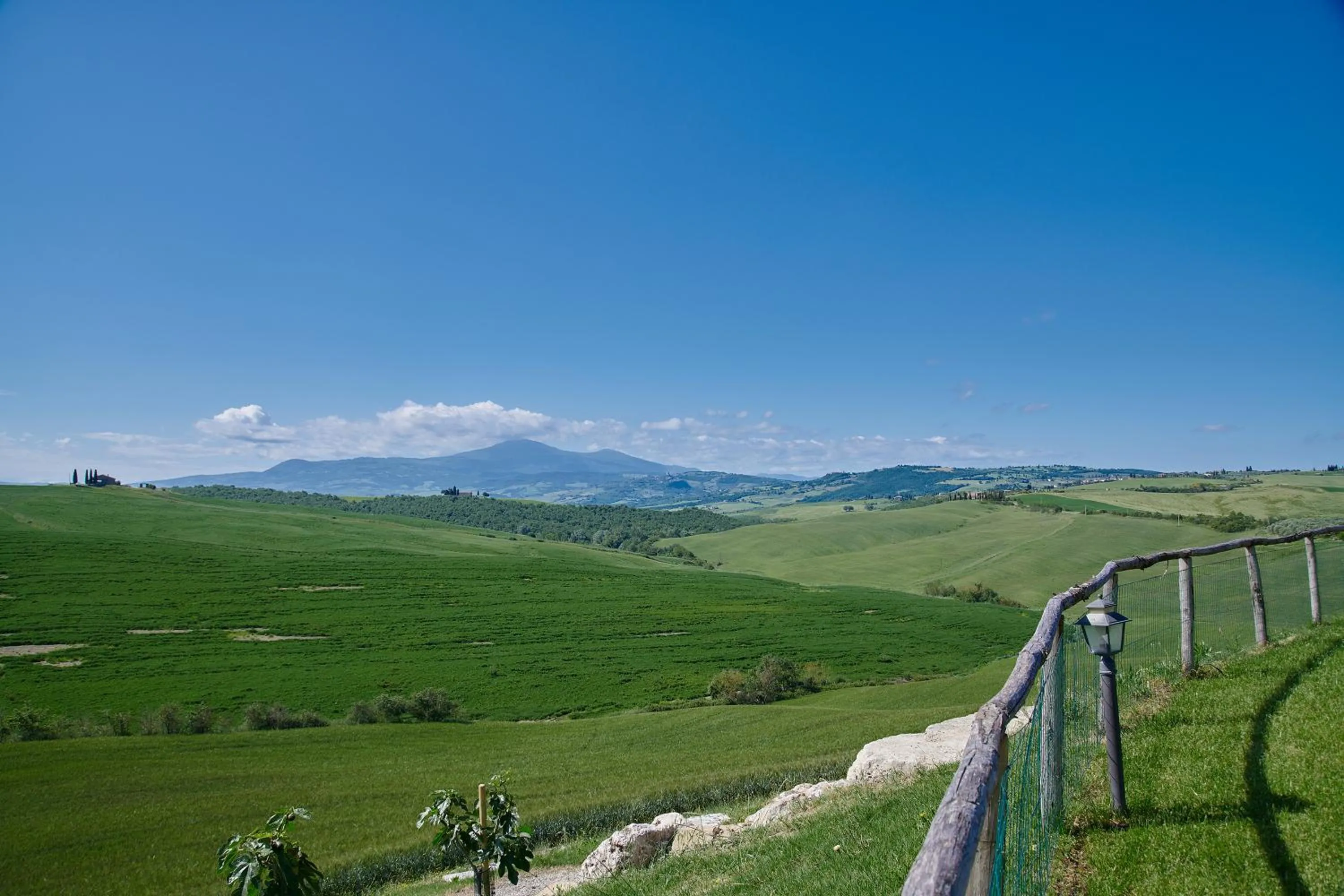 View (from property/room) in Agriturismo Bonello