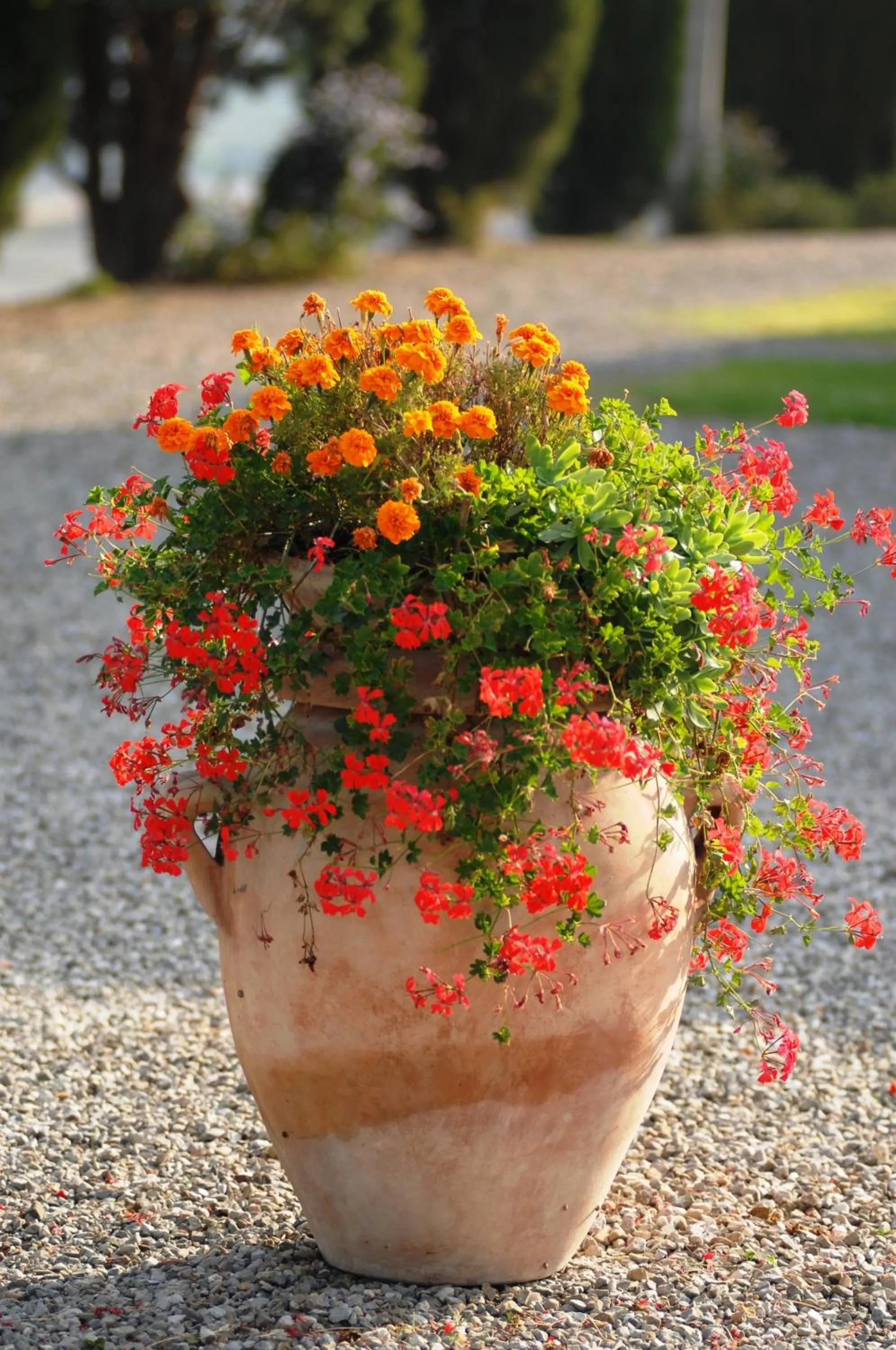 Decorative detail in Agriturismo Bonello