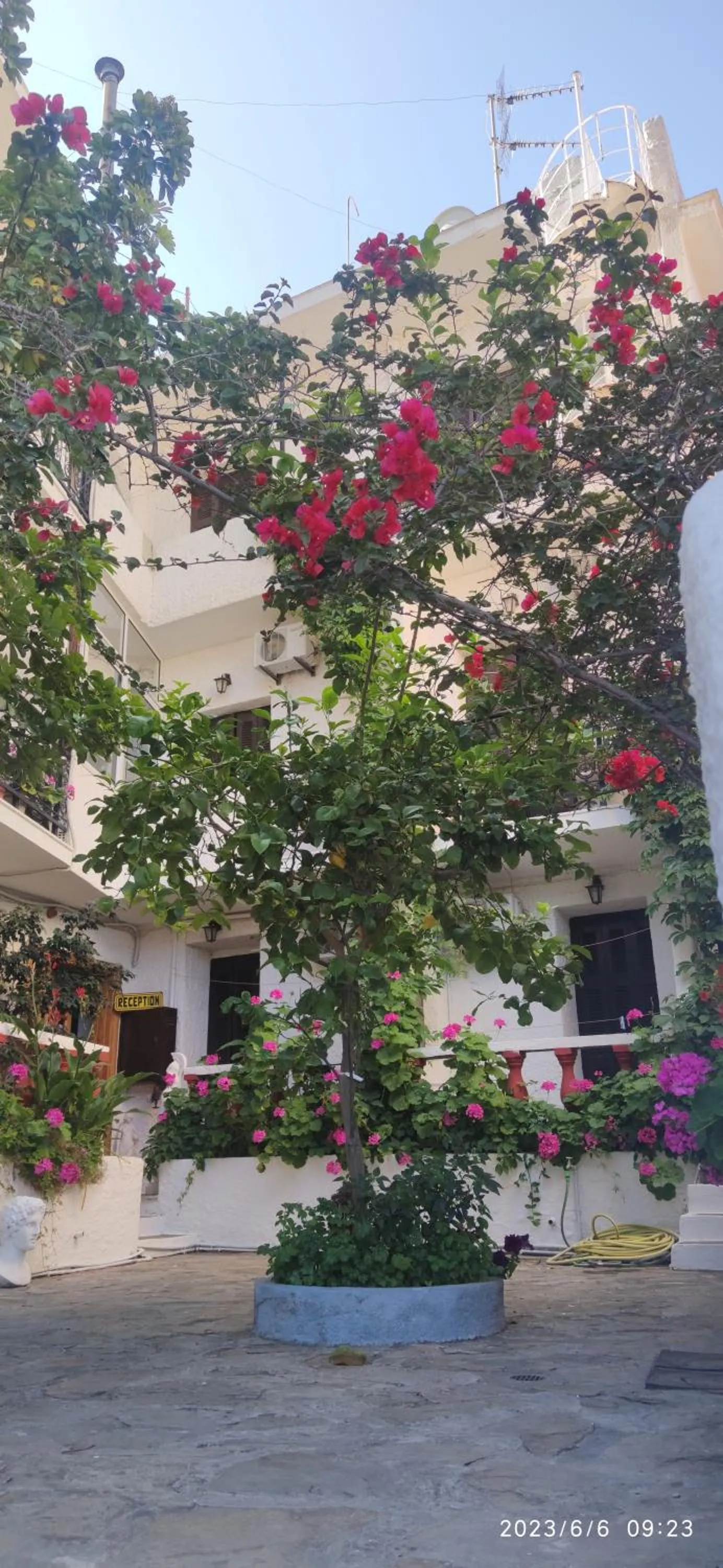 ODYSSEAS HOTEL SAMOS