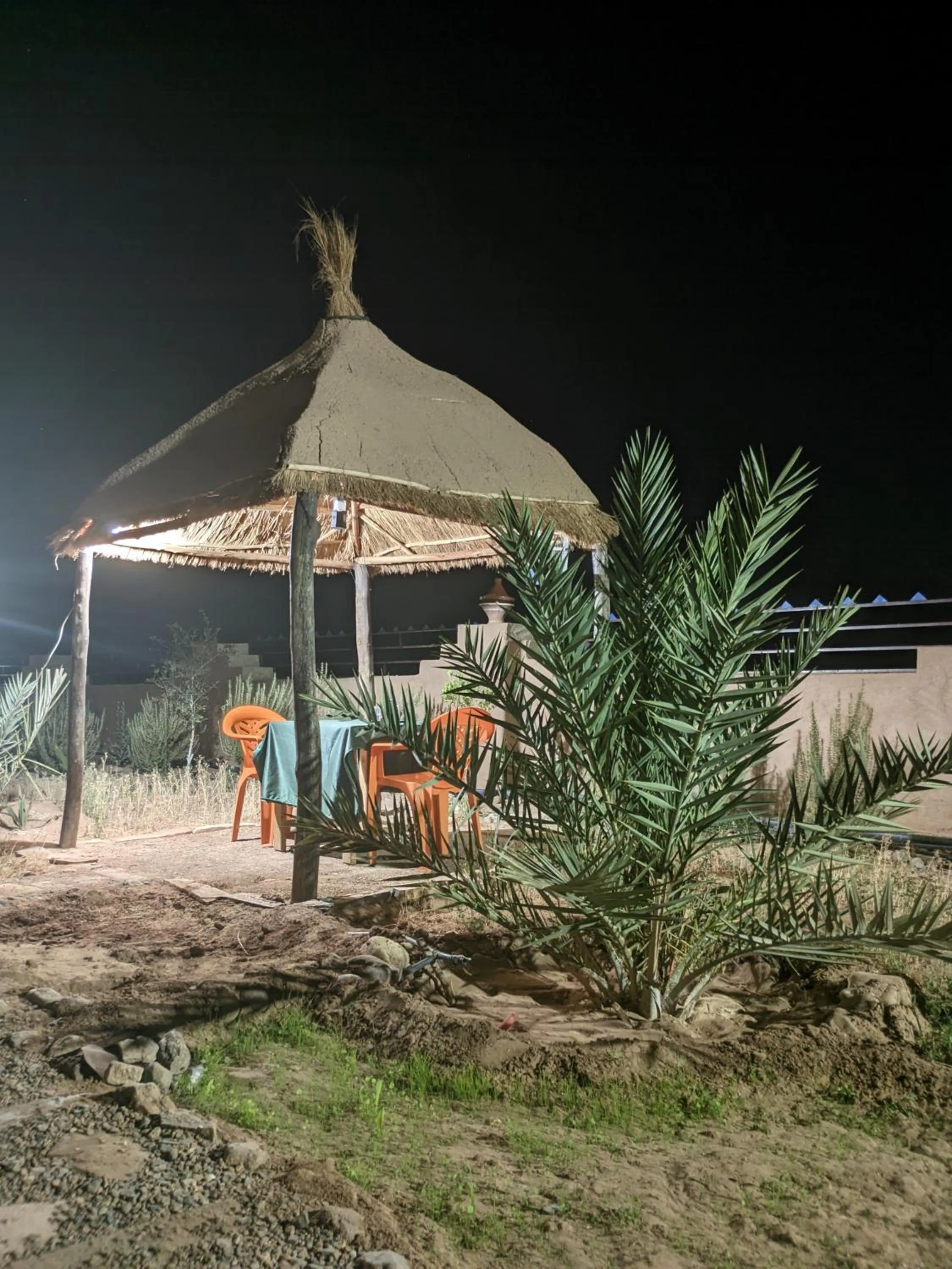 Night in Café restaurante shelter calm life