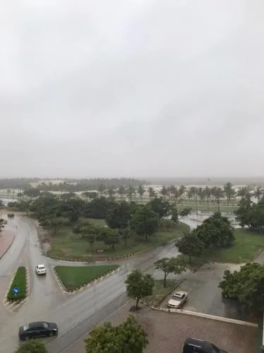 AL KALDi