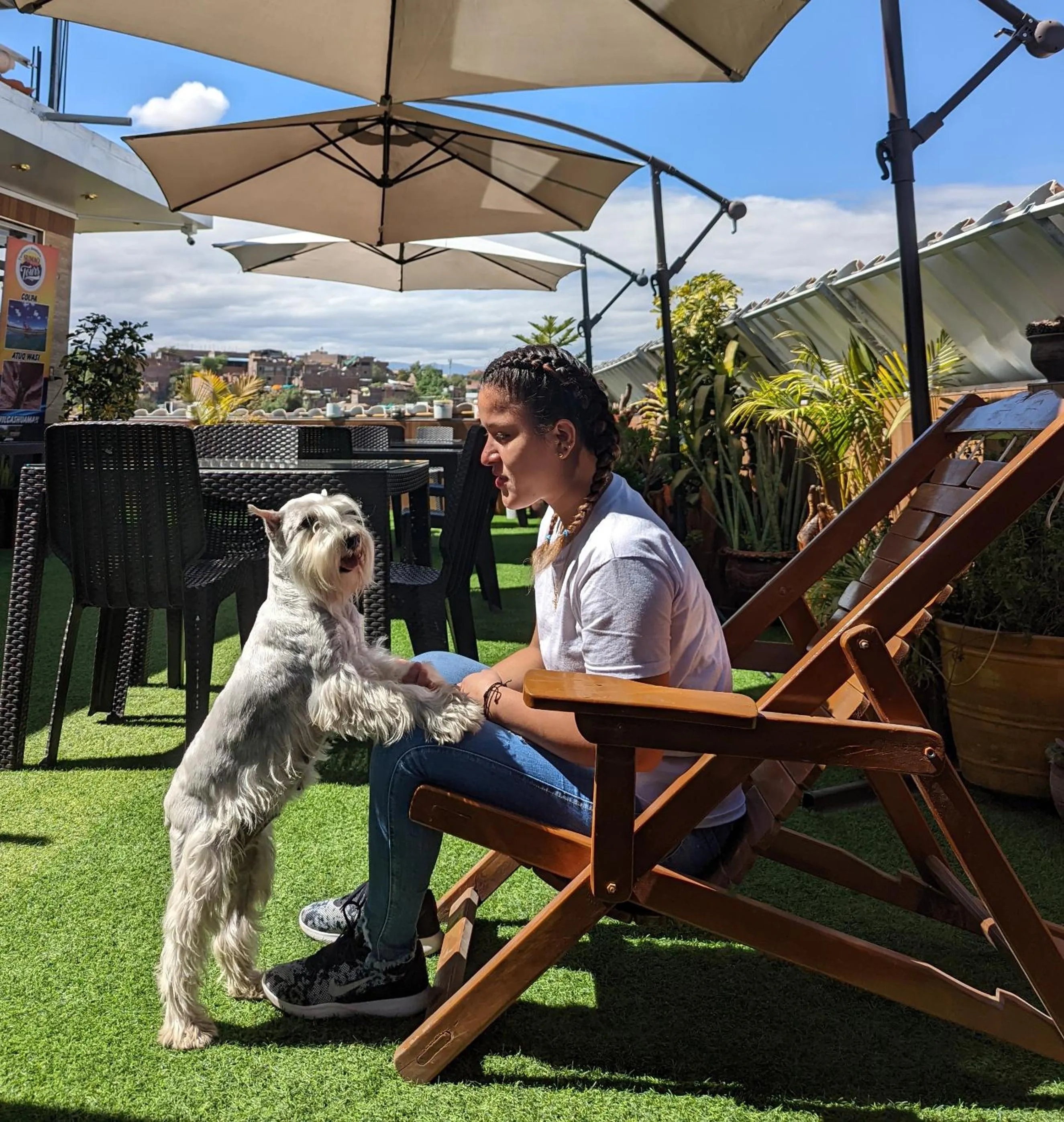 Pets in Sumaq Wari Hotel