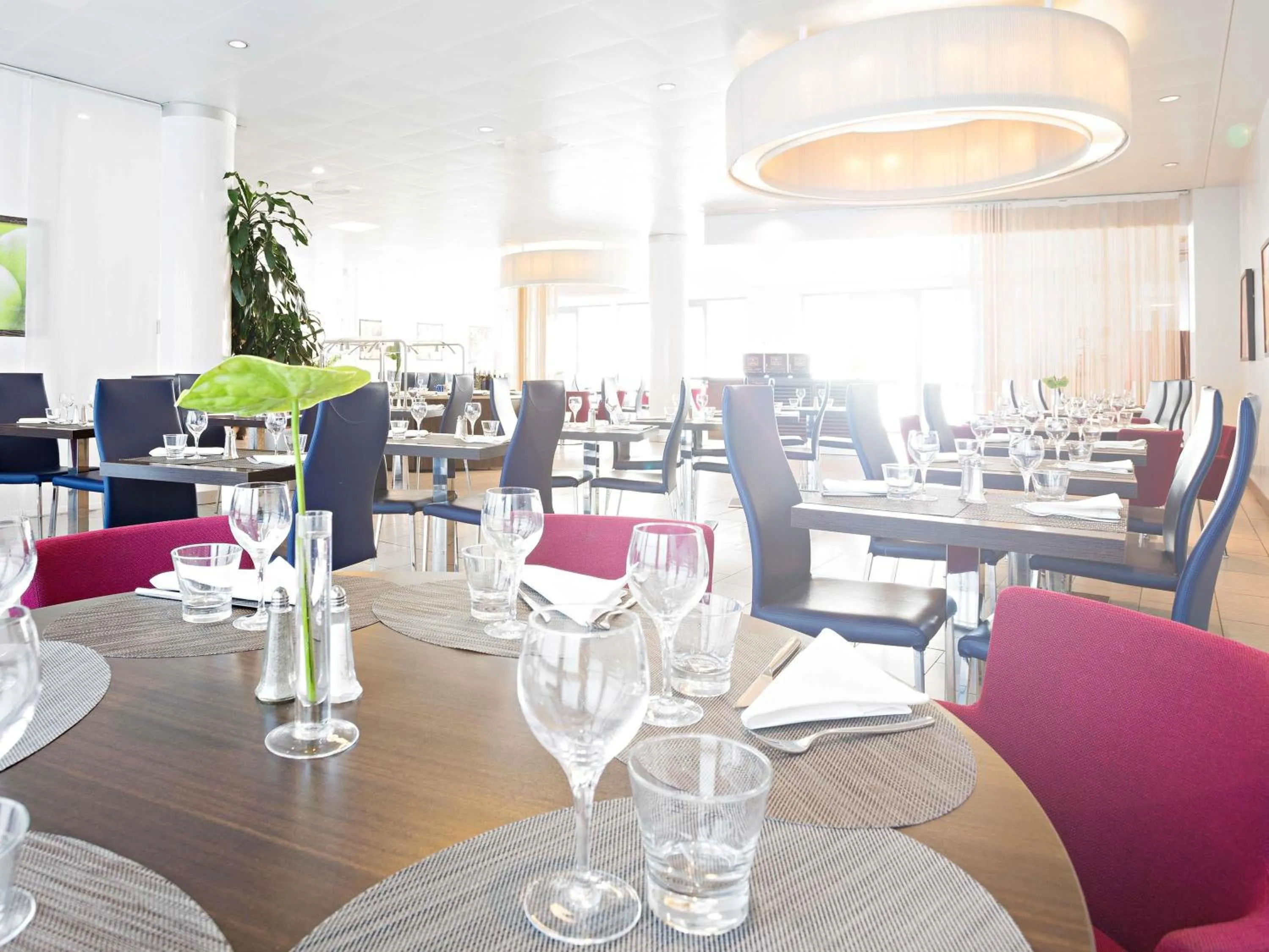 Restaurant/places to eat in Novotel Milano Malpensa Aeroporto