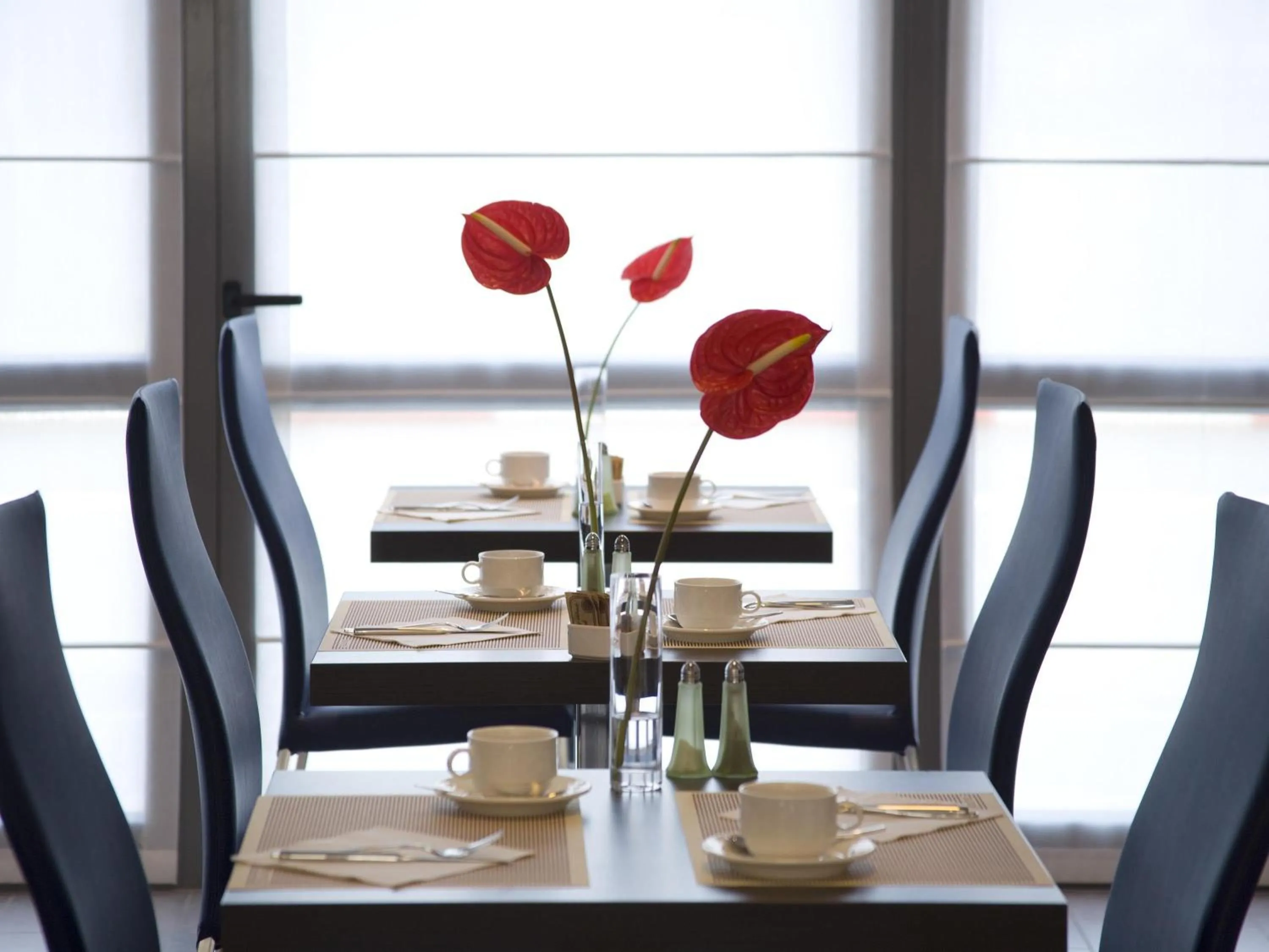 Restaurant/places to eat in Novotel Milano Malpensa Aeroporto