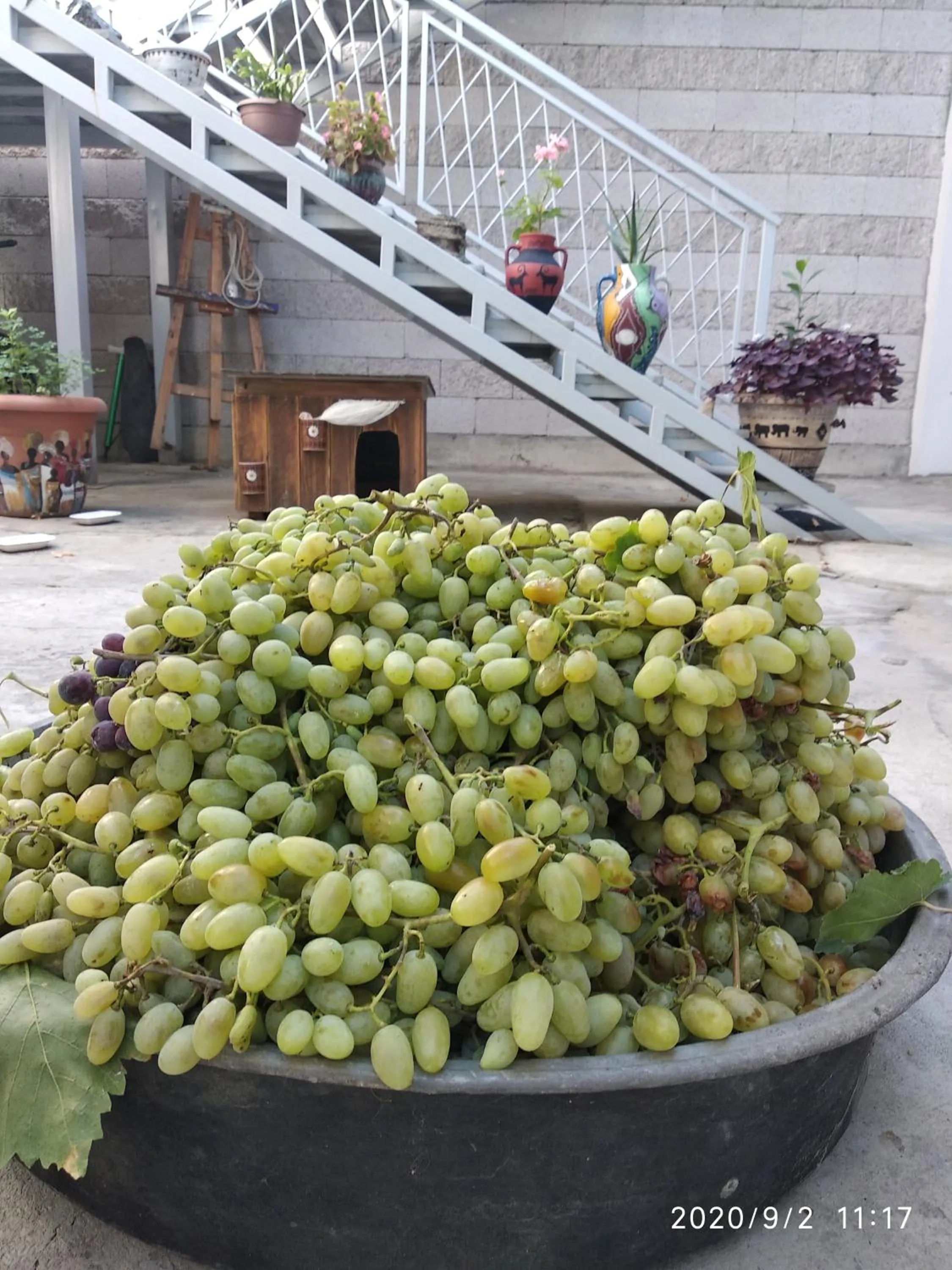 Food in Artson B&B Vagharshapat
