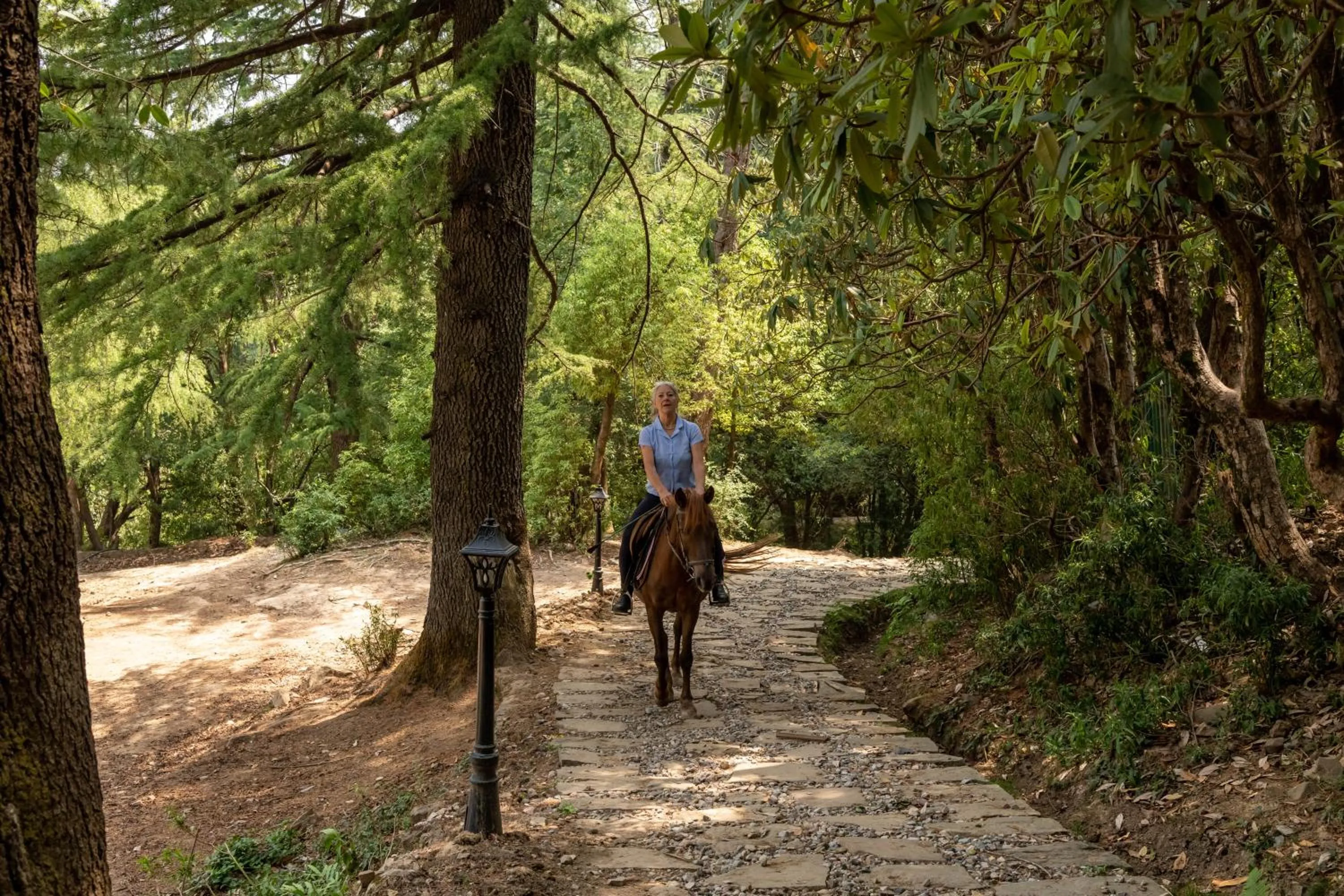 Horse-riding in Hotel Eagles Nest