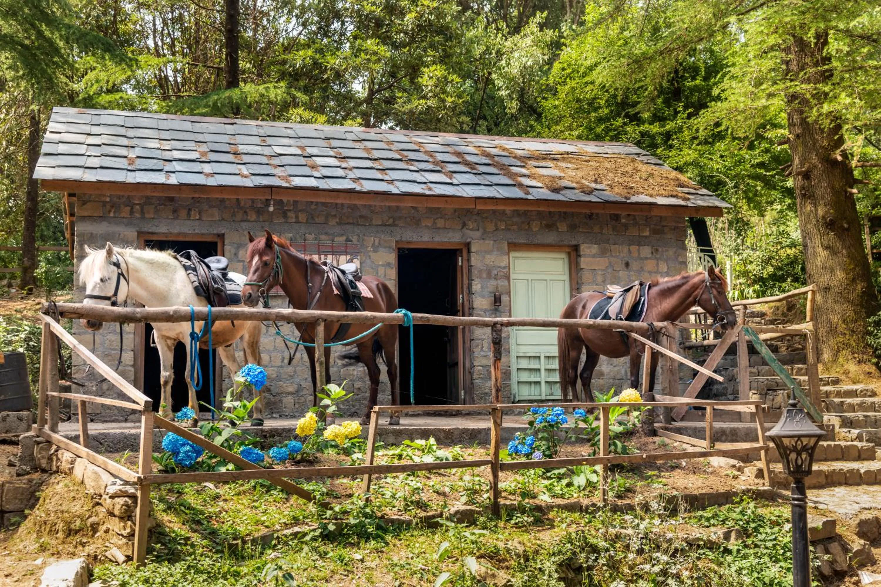 Activities in Hotel Eagles Nest