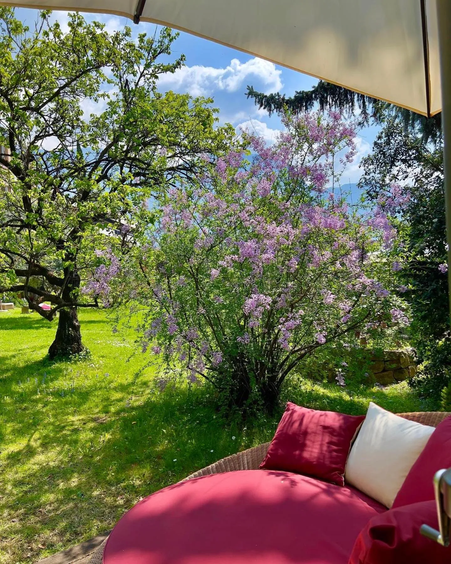 Garden in Hotel Gartenresidence Zea Curtis