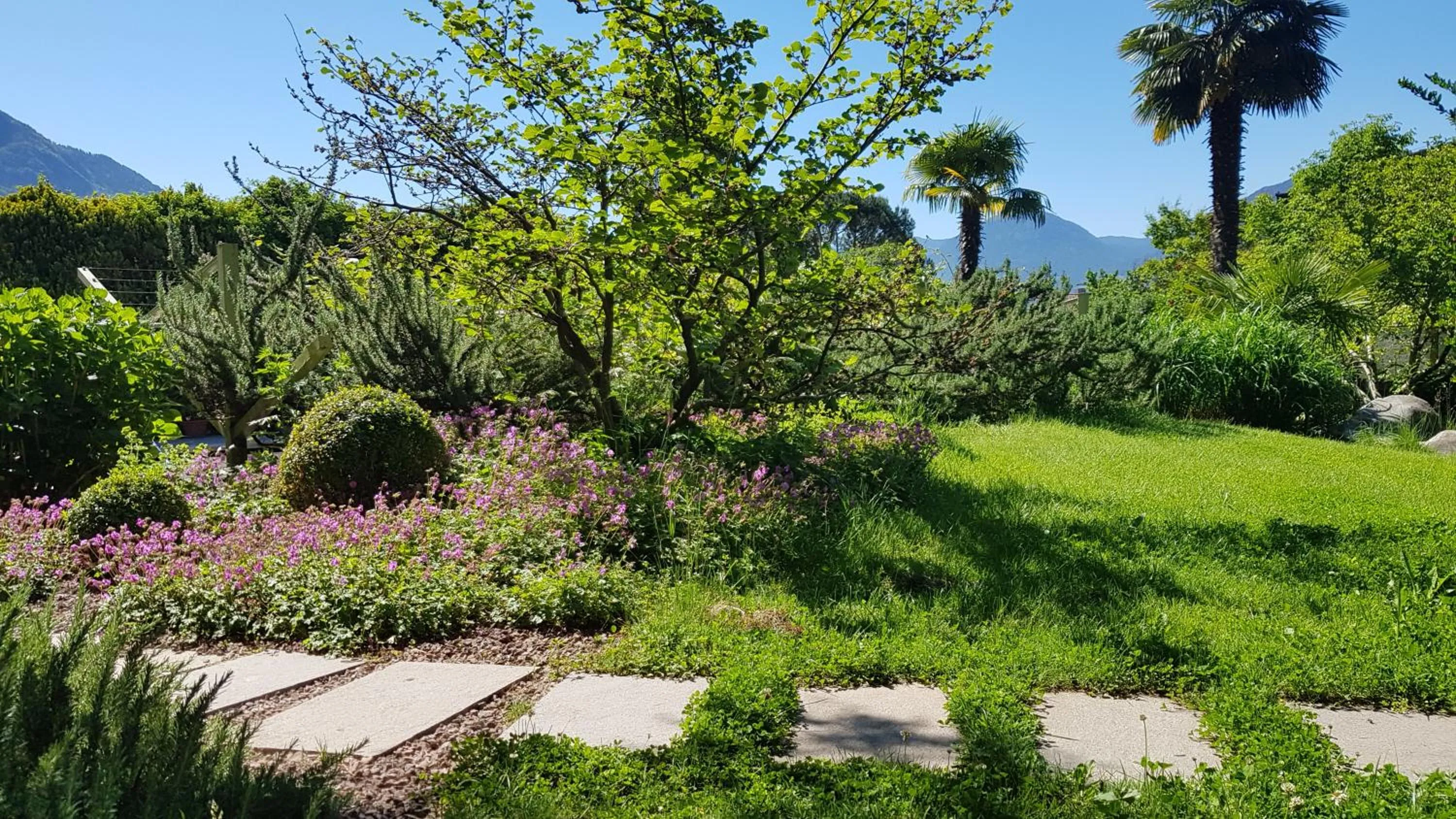 Swimming pool in Hotel Gartenresidence Zea Curtis