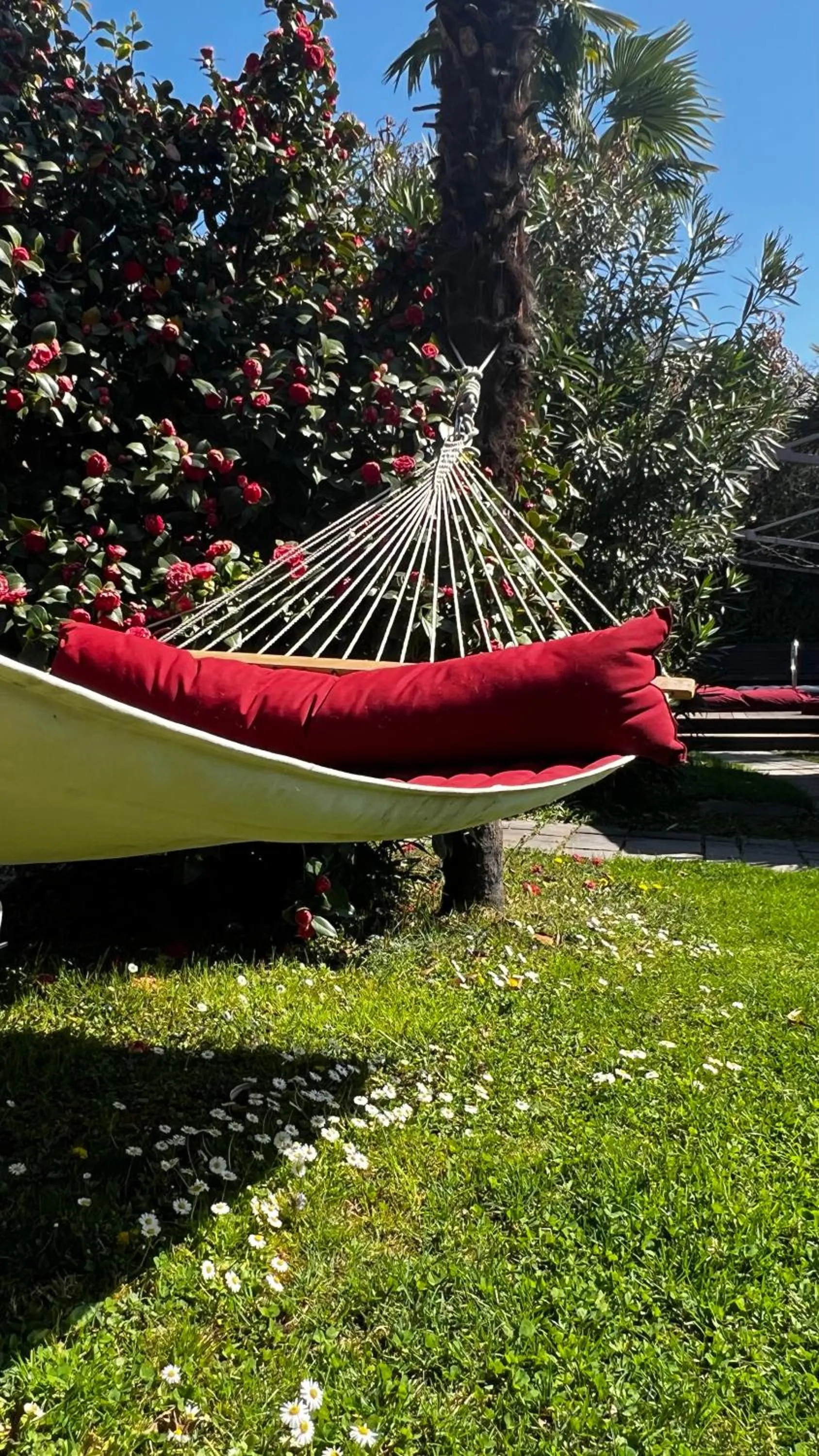 Hotel Gartenresidence Zea Curtis