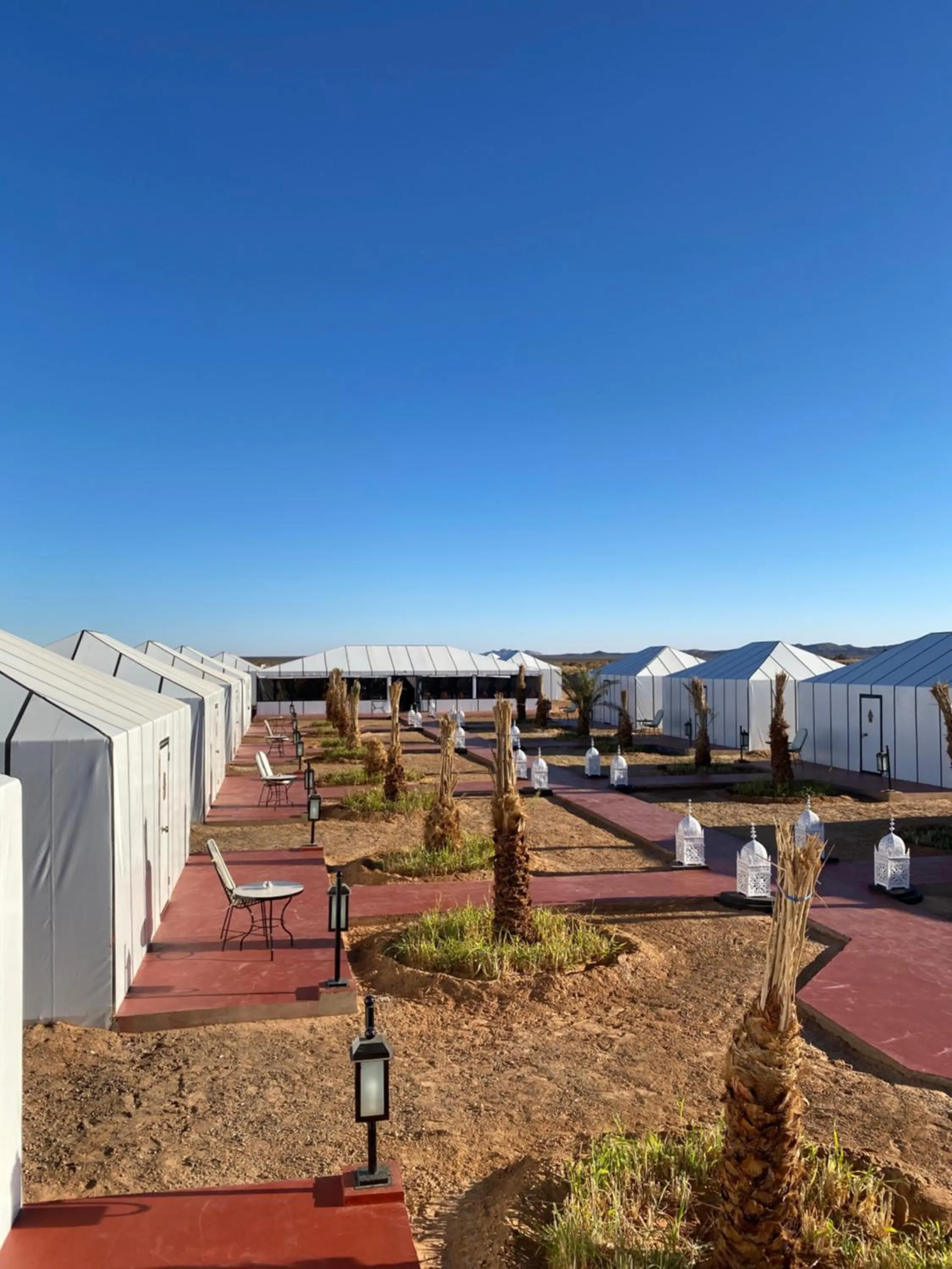 Relaxing Desert Camp