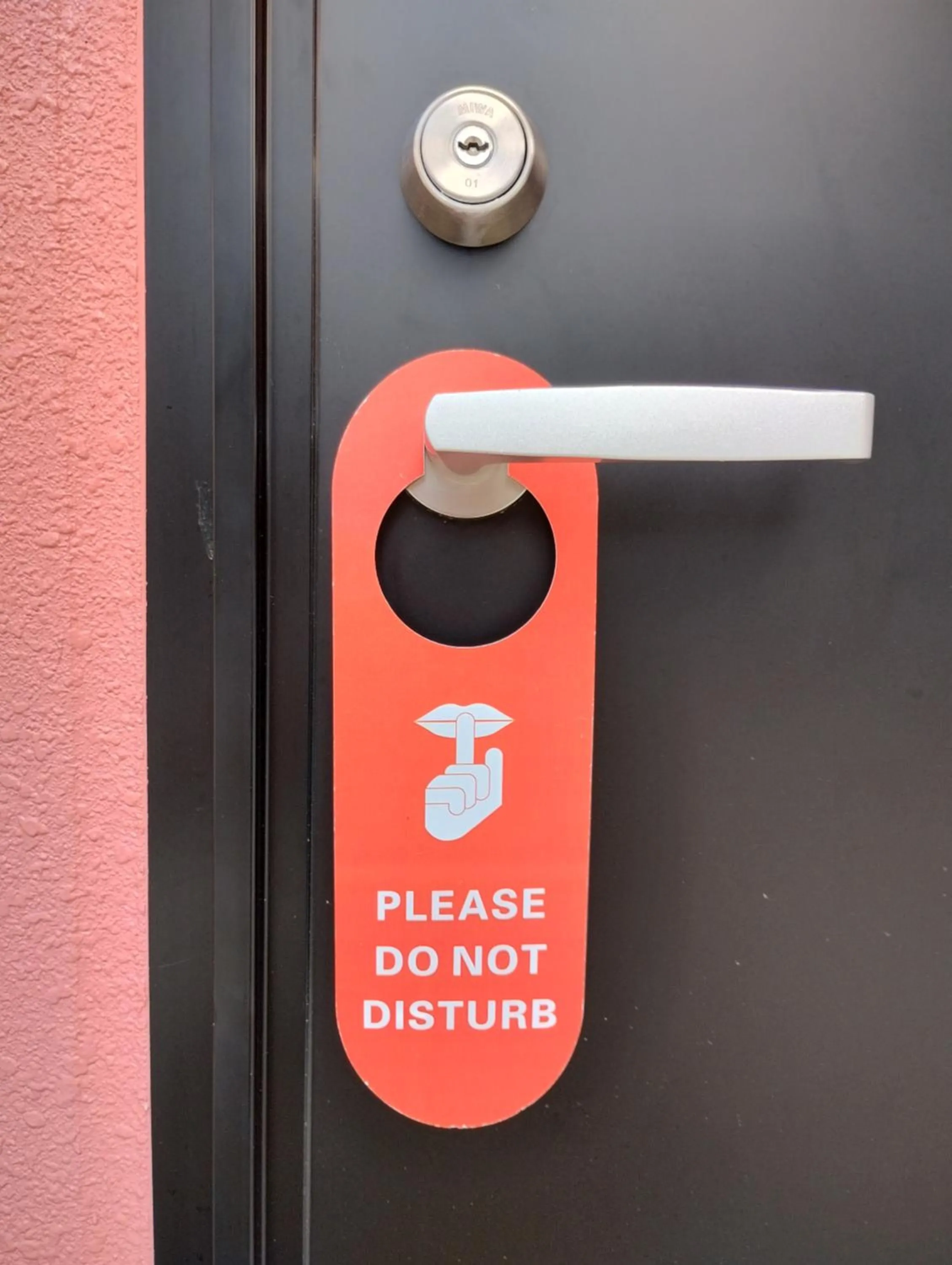 Text overlay in Hotel Little Swiss House