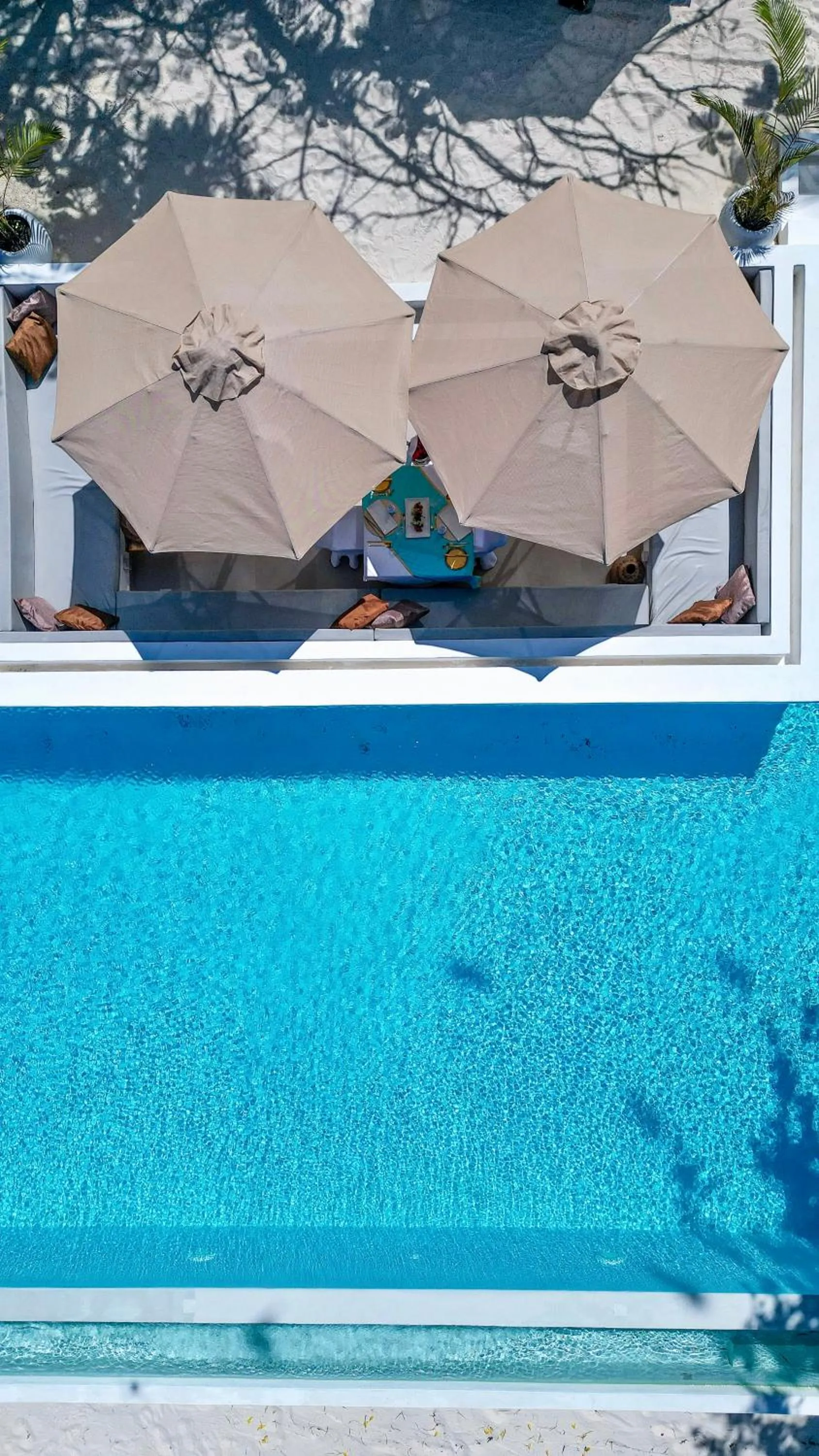 Pool view in Alma Boutique Hotel