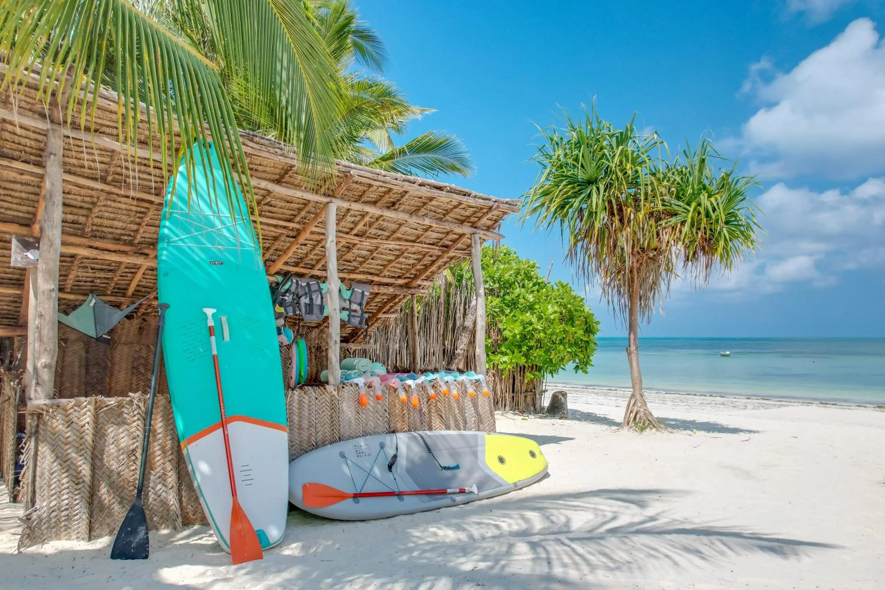 Snorkeling in Alma Boutique Hotel