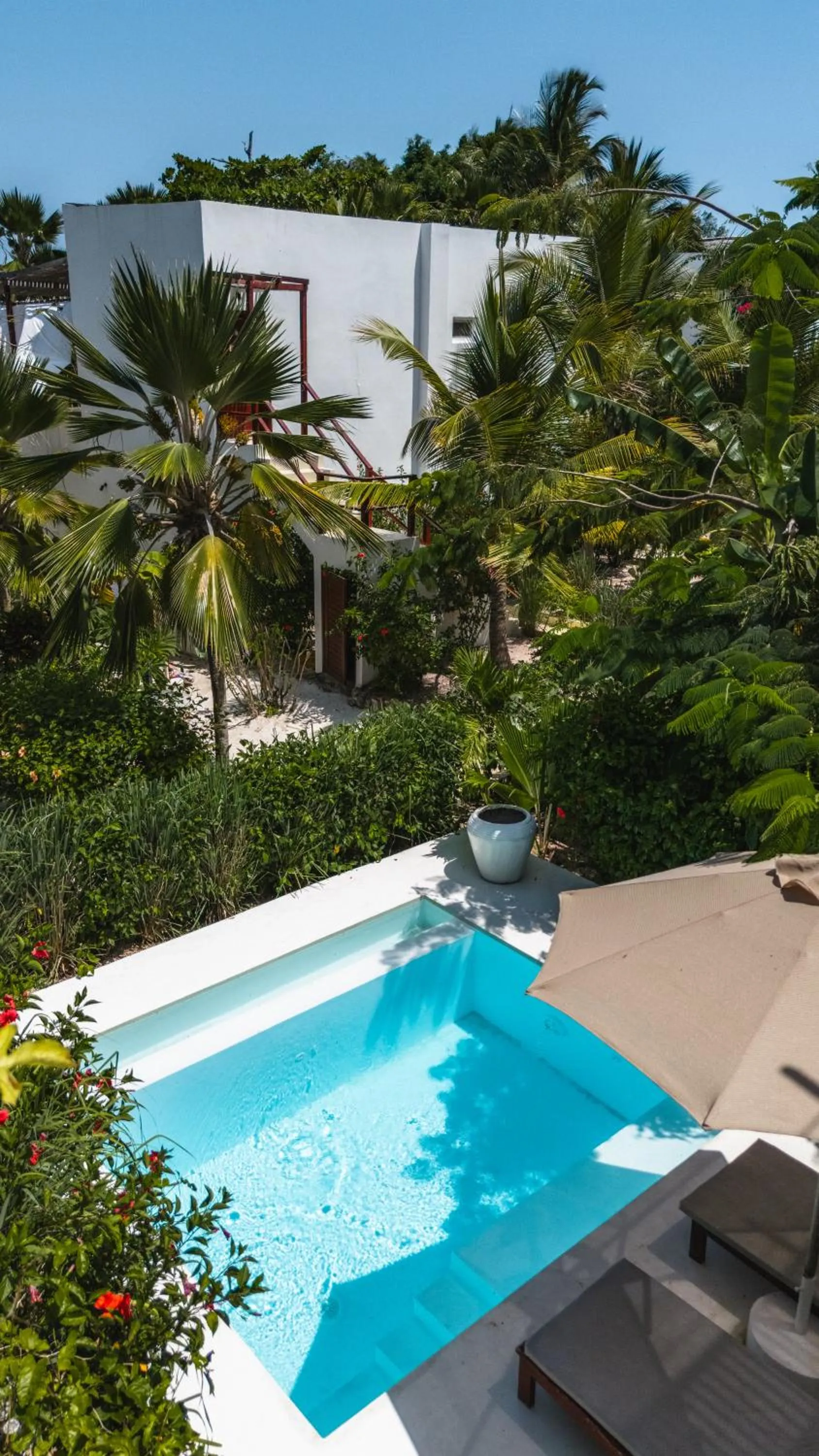 Pool view in Alma Boutique Hotel