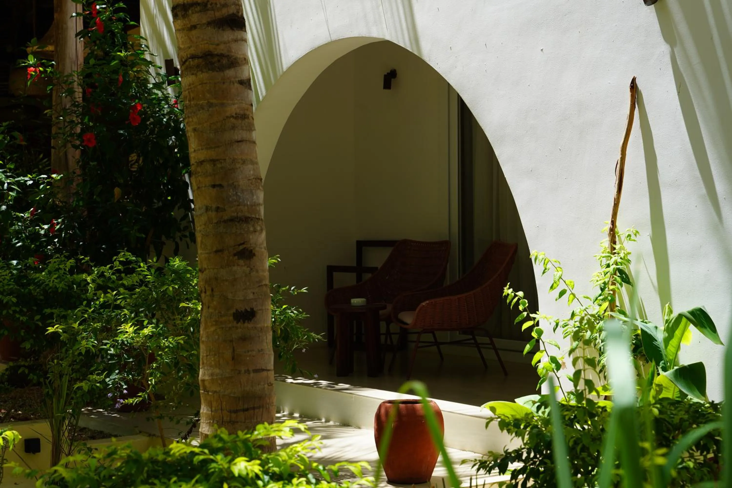 Garden view in Alma Boutique Hotel