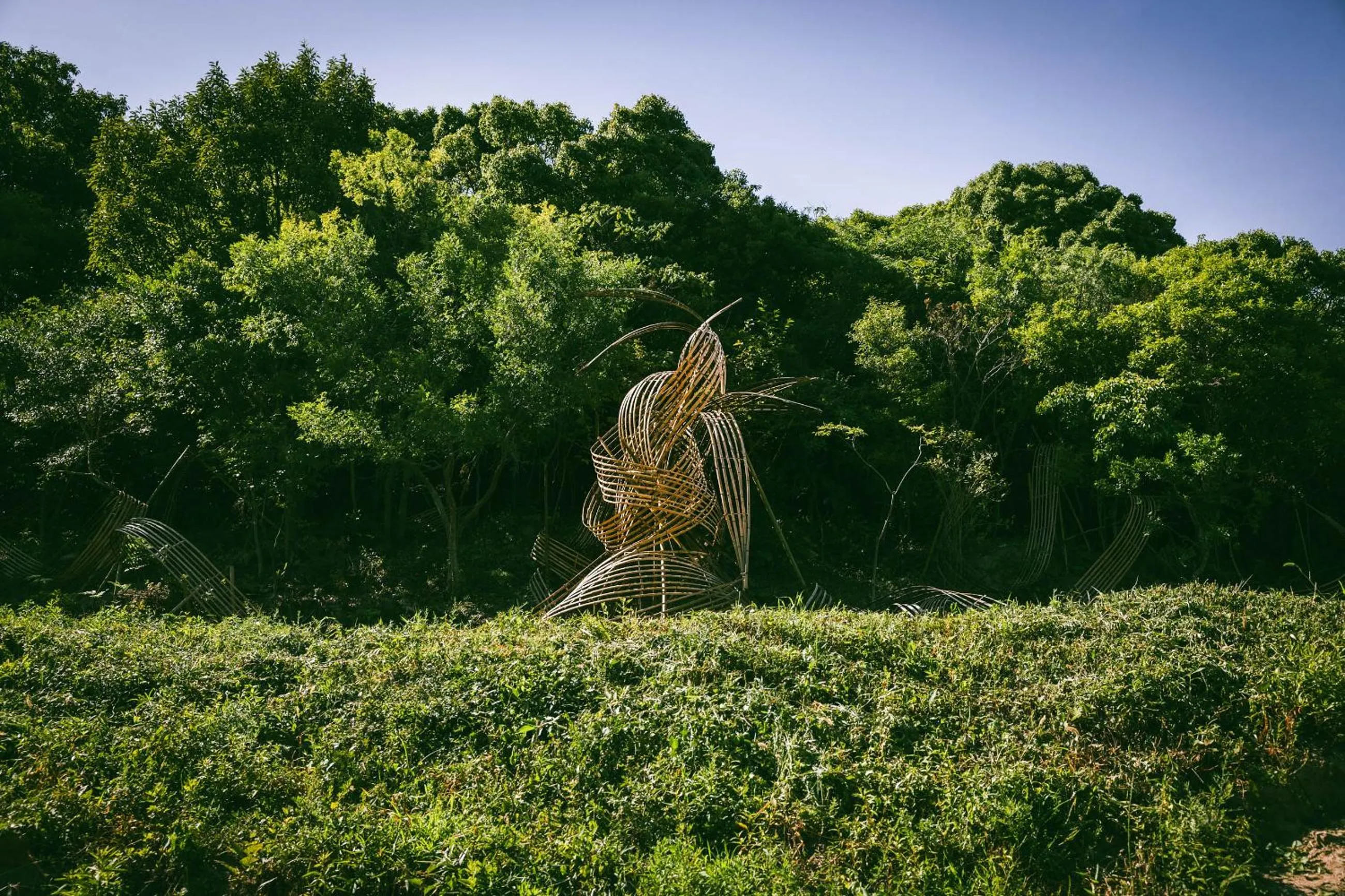 Mountain view in Naoshima Ryokan Roka