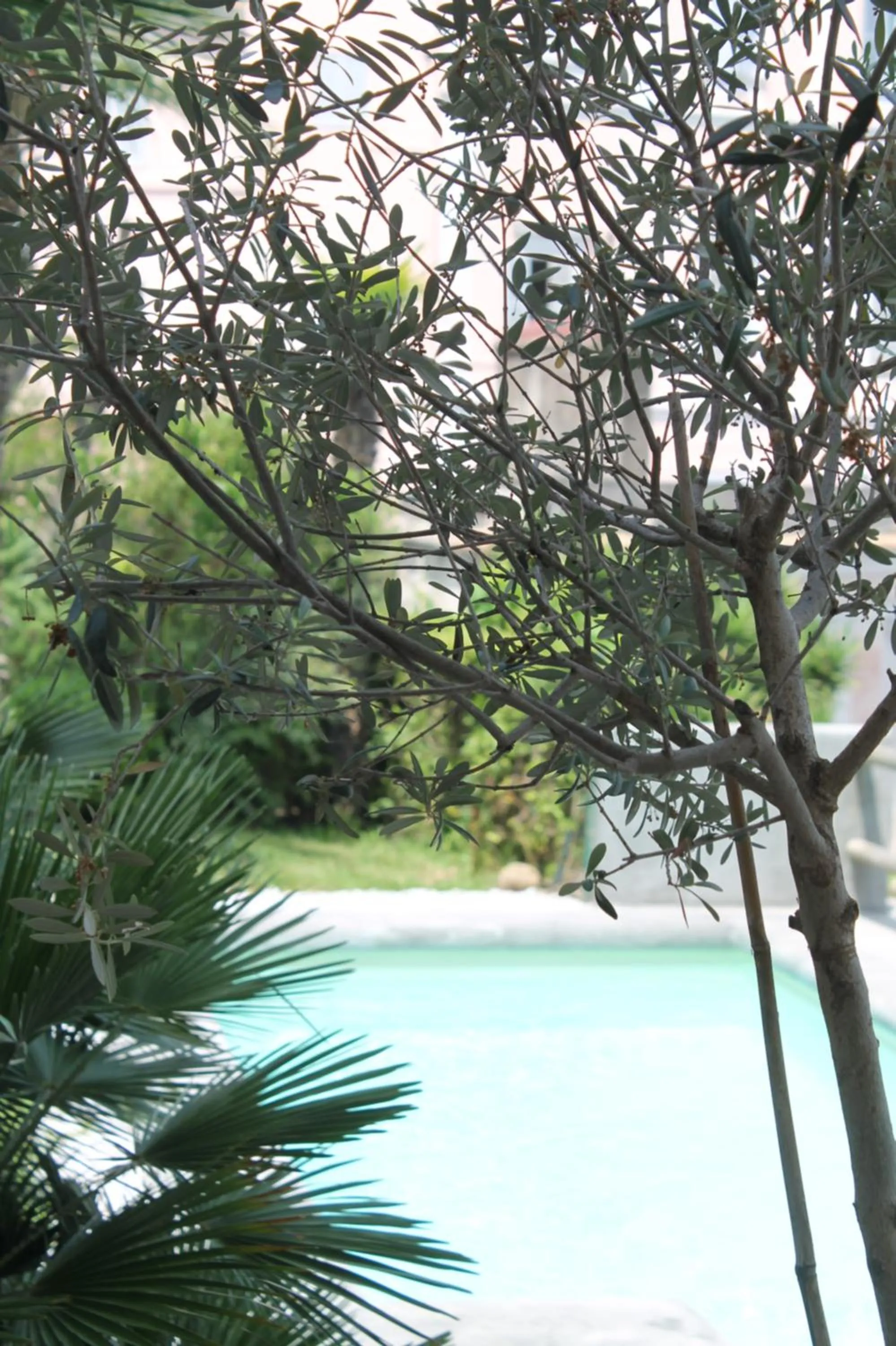 Garden in Clori Gaeta