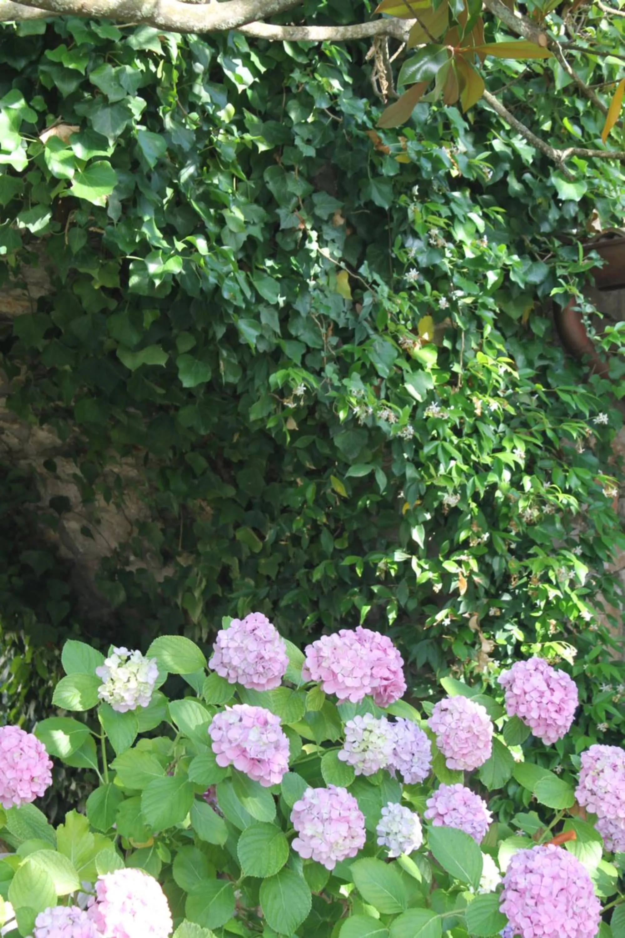 Garden in Clori Gaeta