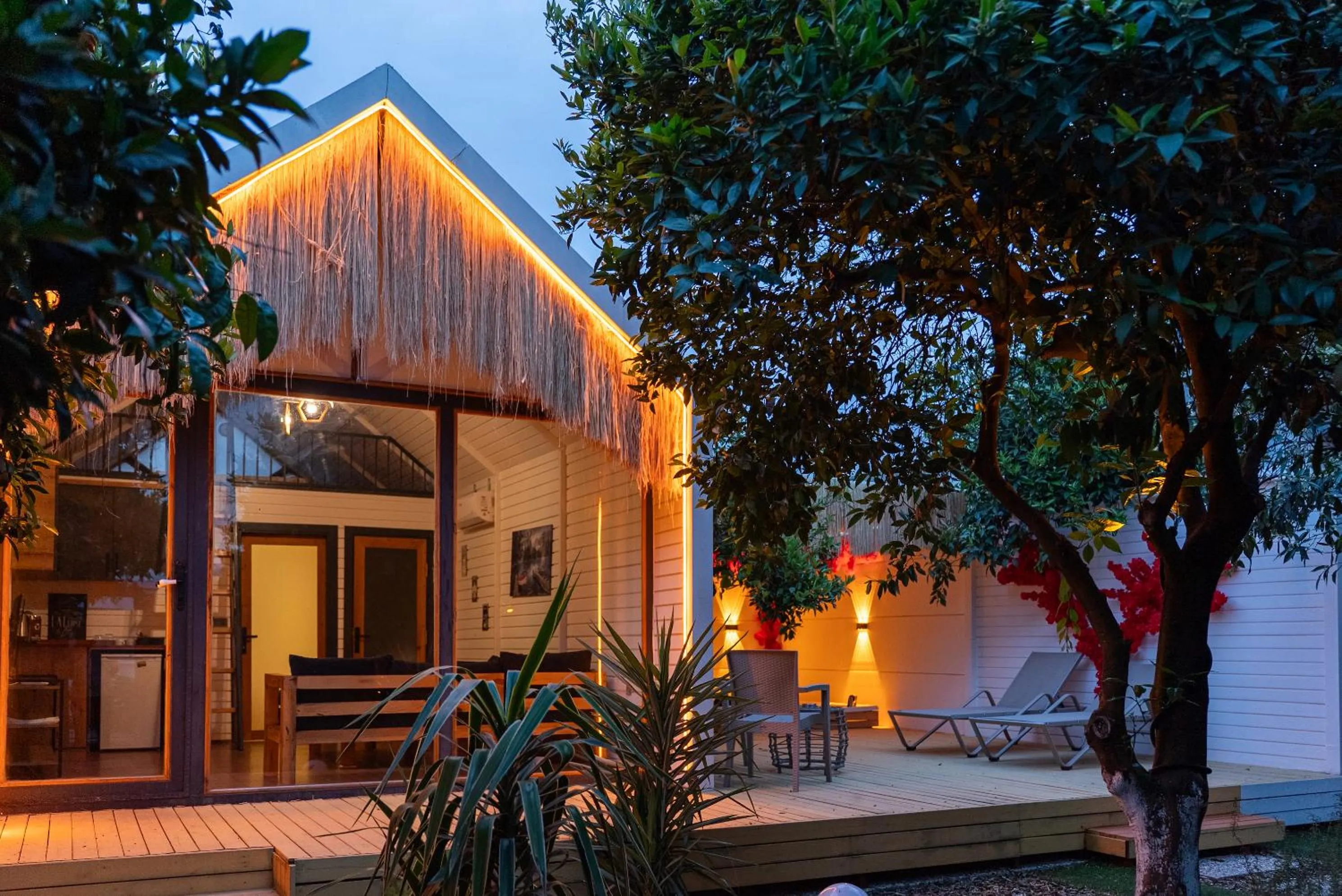 Property building in Collesium Garden