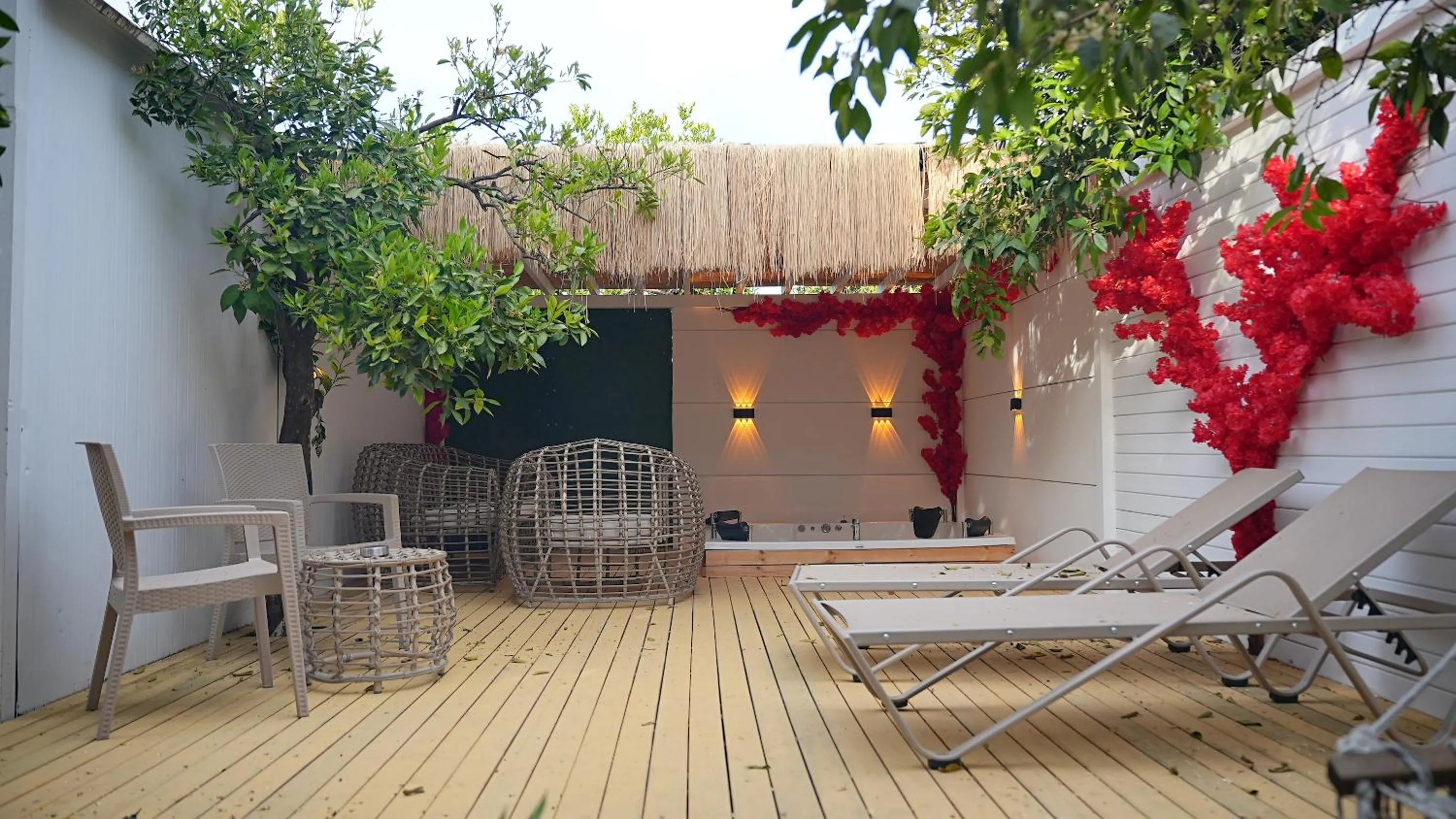 Garden in Collesium Garden