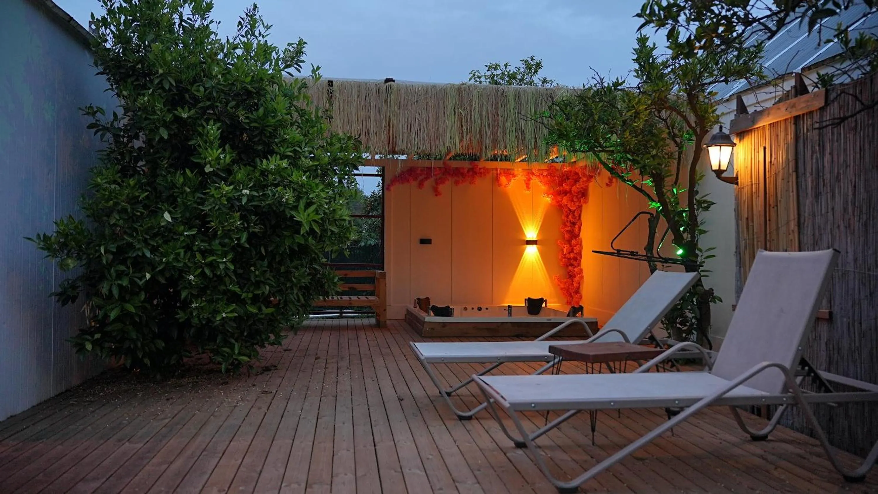 Garden in Collesium Garden