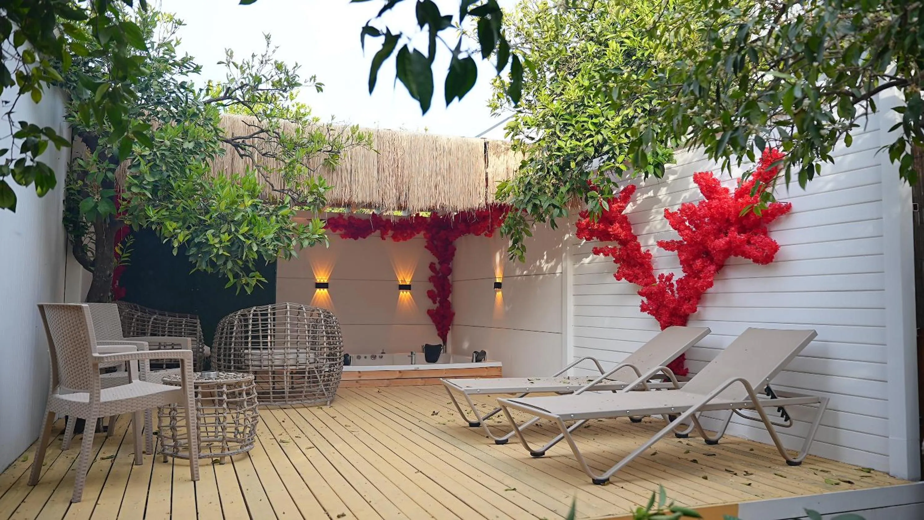 Garden view in Collesium Garden