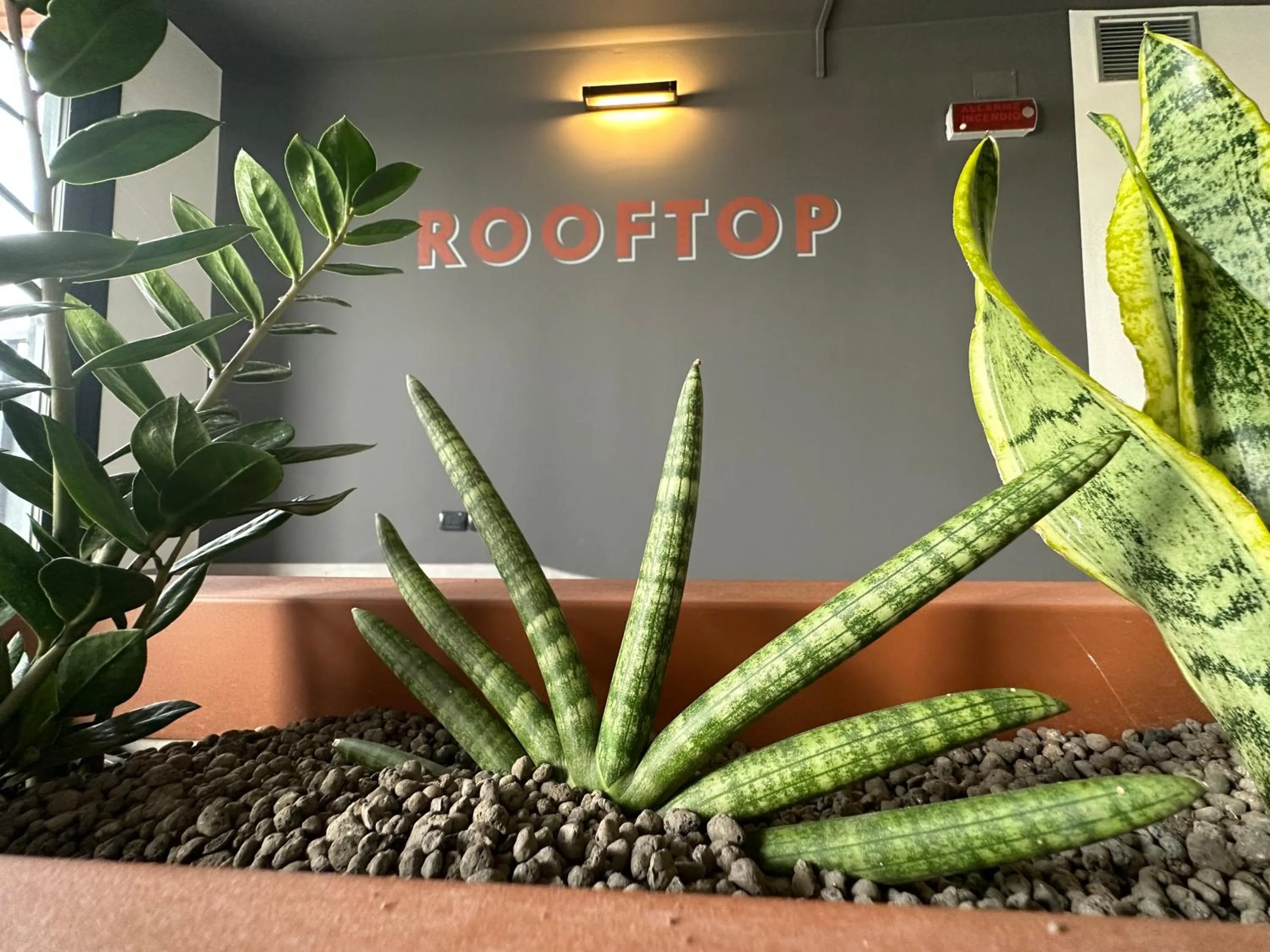 Other in Residence 9 Line