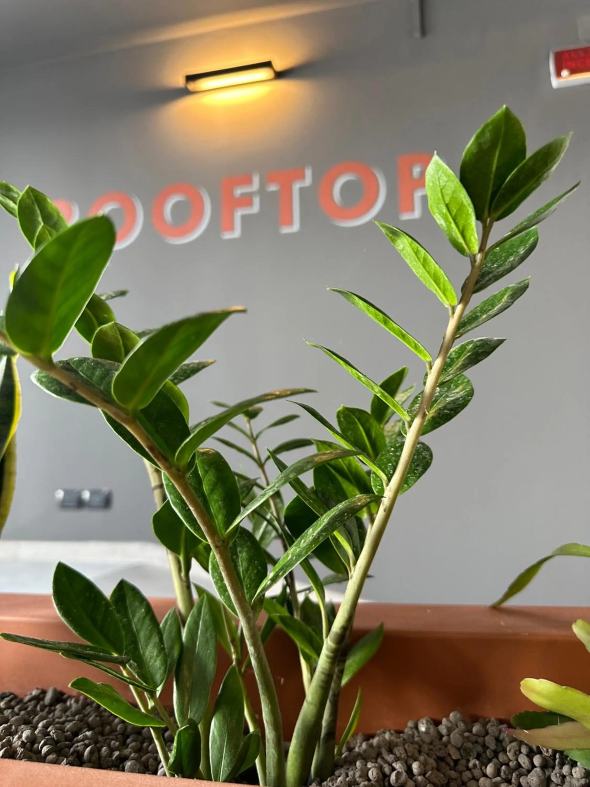 Other in Residence 9 Line