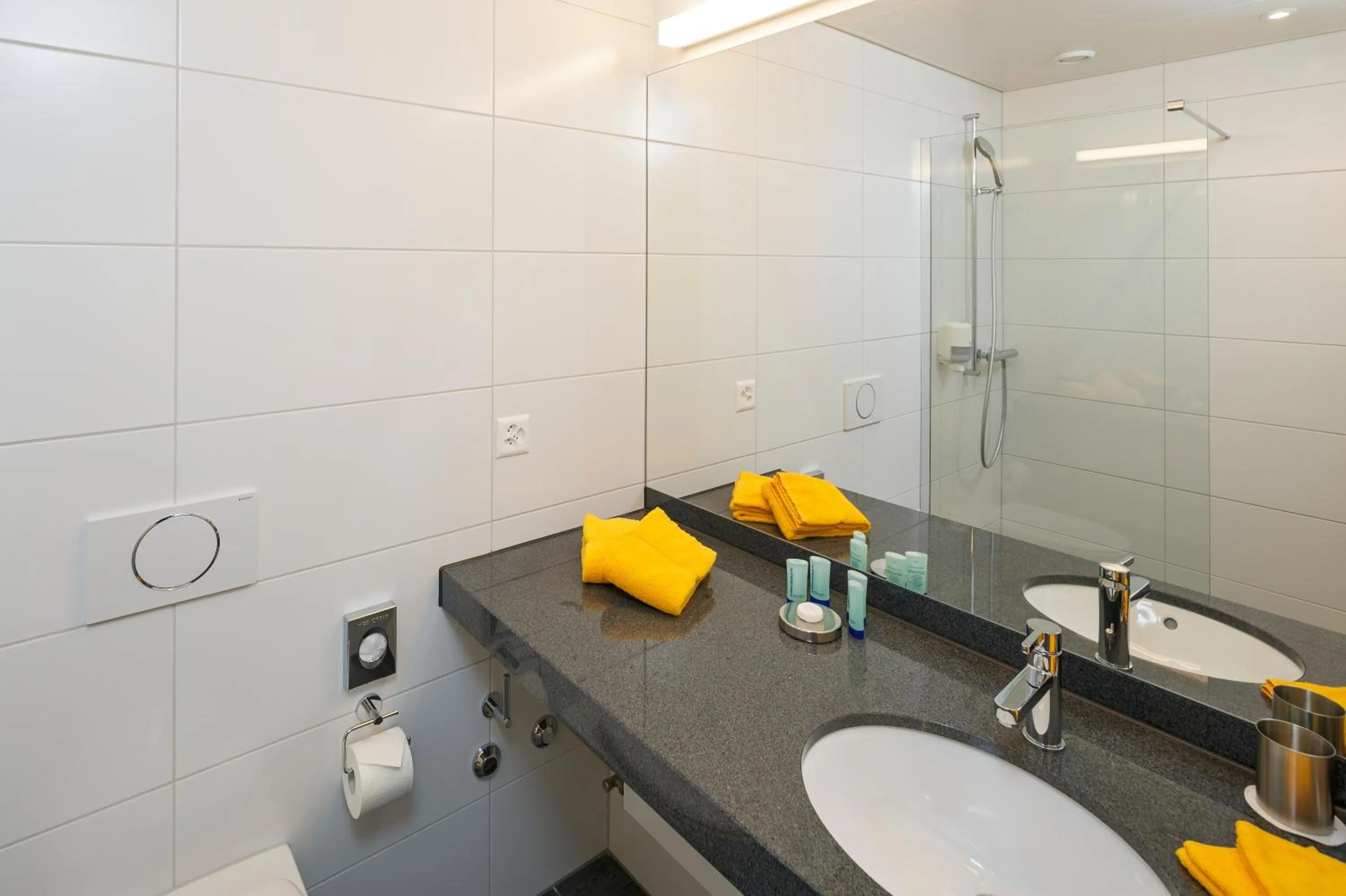 Standard Double Room in Villmergen Swiss Quality Hotel