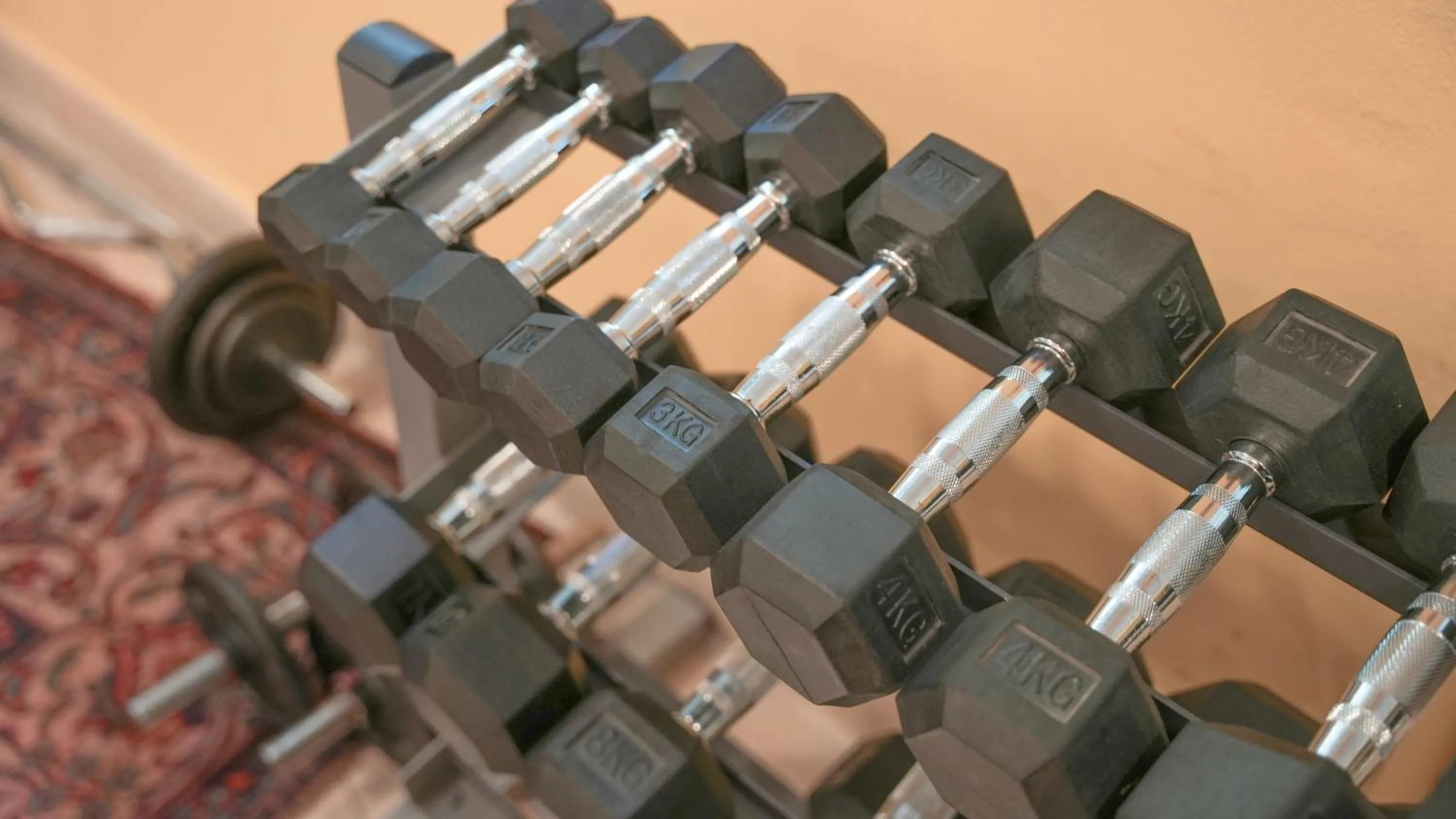 Fitness centre/facilities in Hotel Europa