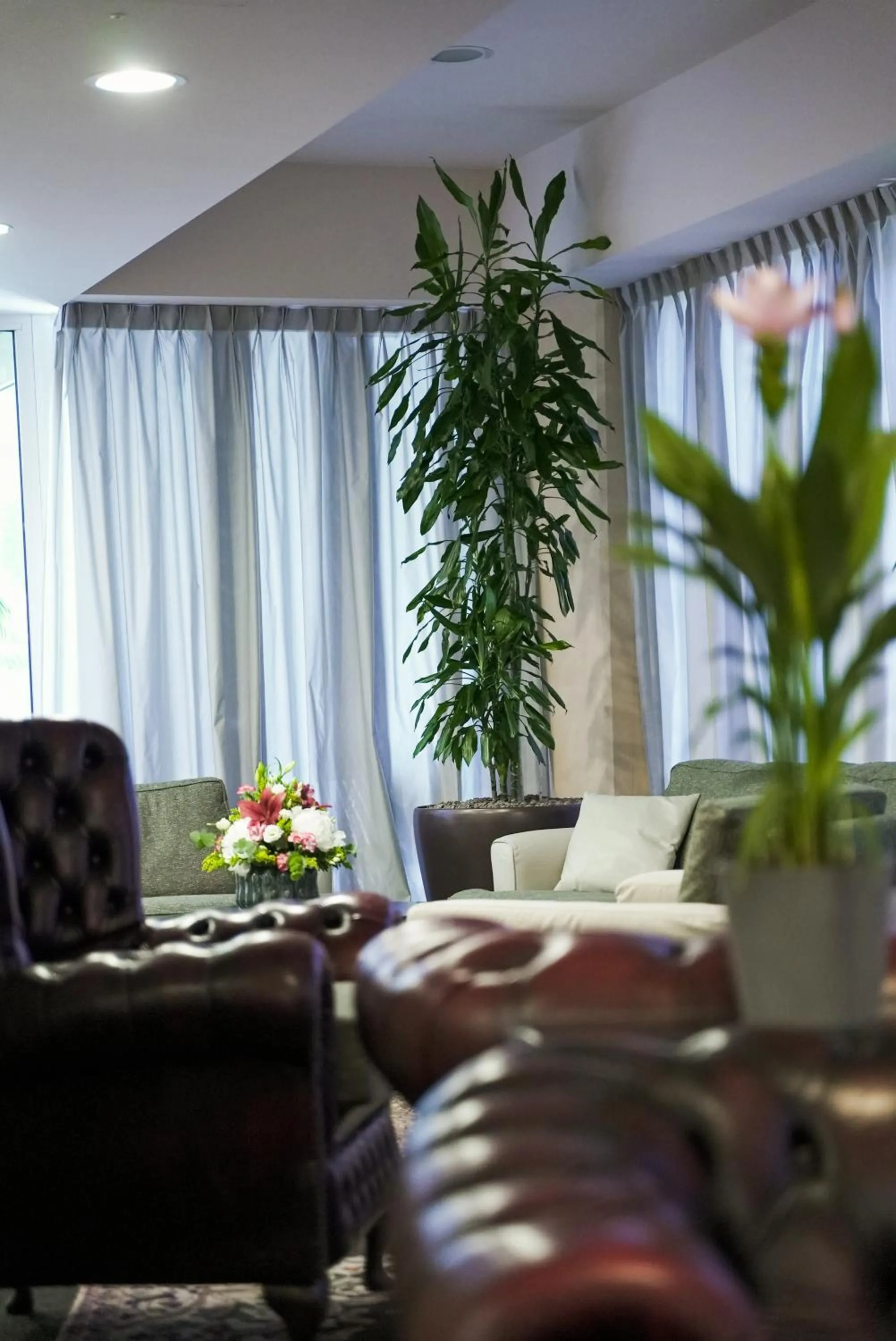 Lobby or reception in Hotel Europa