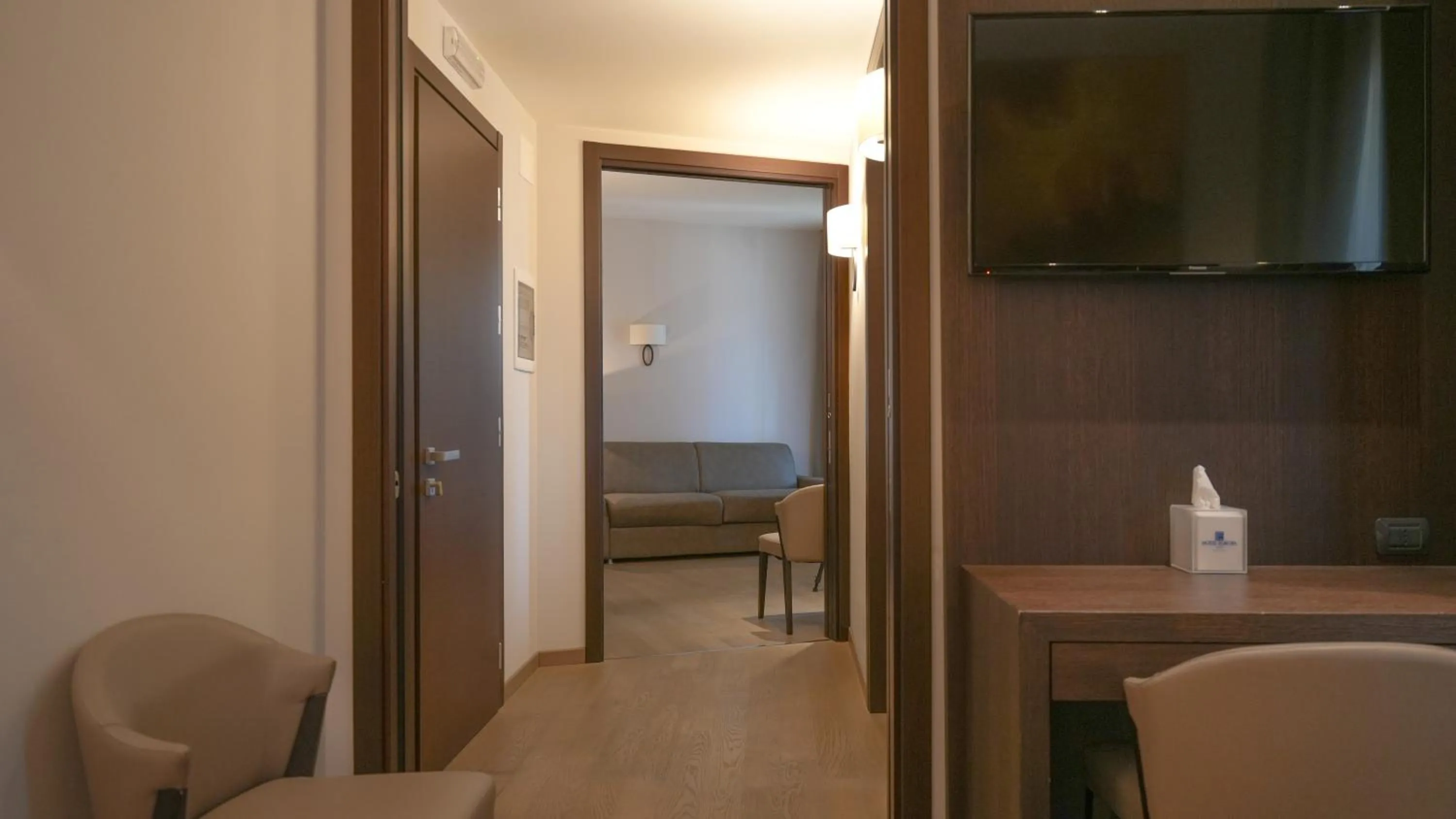 TV and multimedia in Hotel Europa