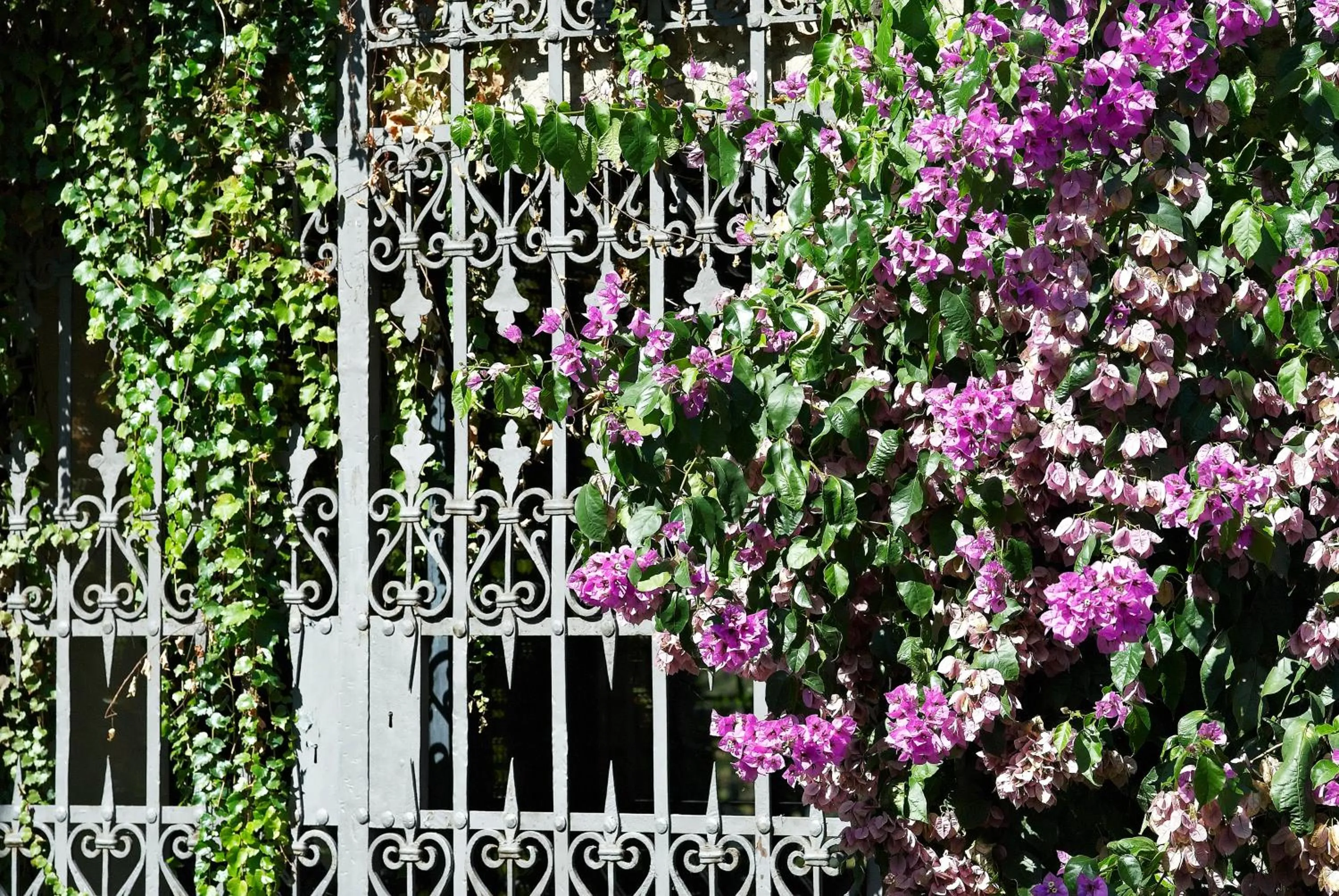 I Parigi Corbinelli Residenze