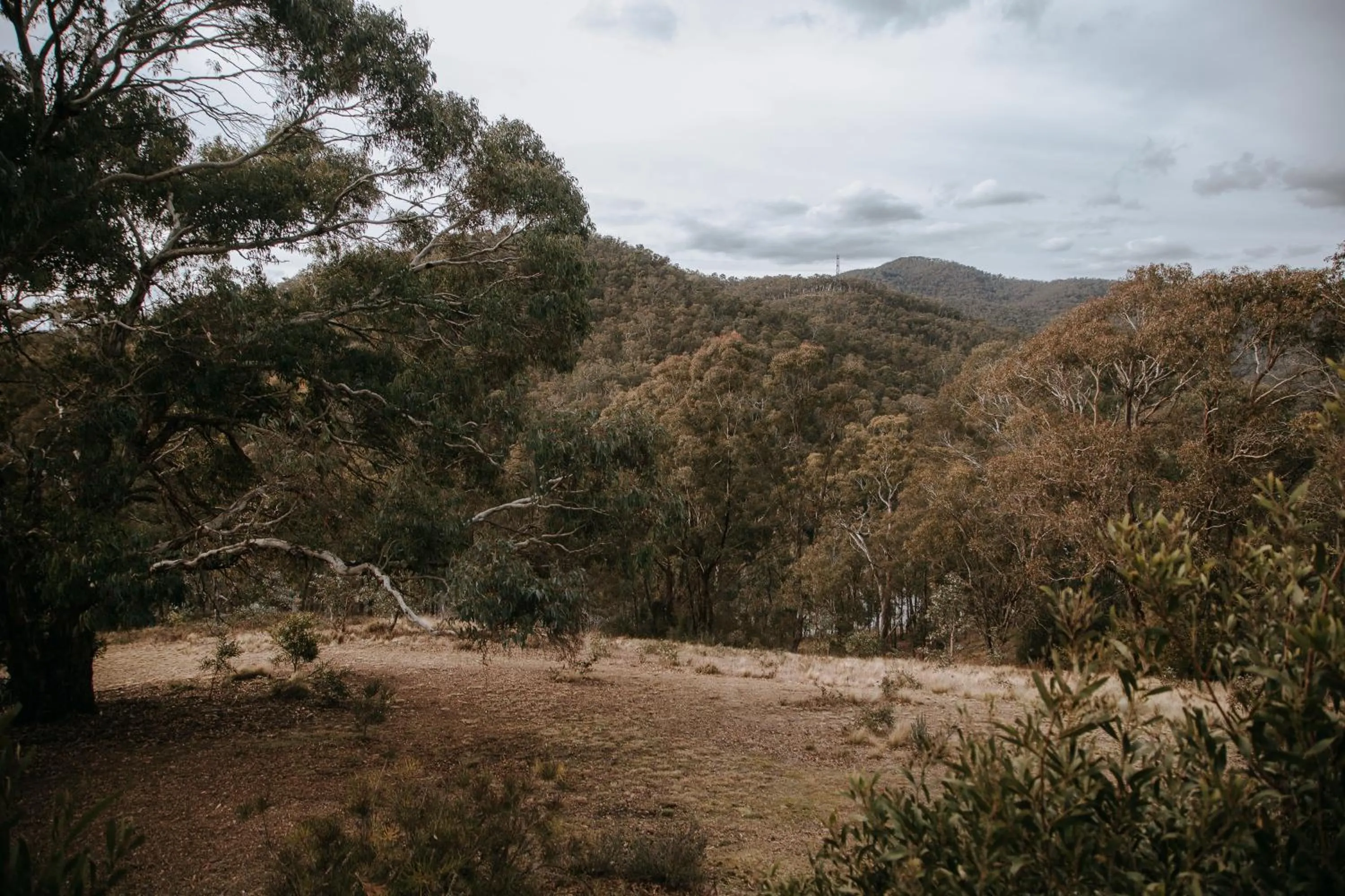 Natural landscape in Eagle View Escape