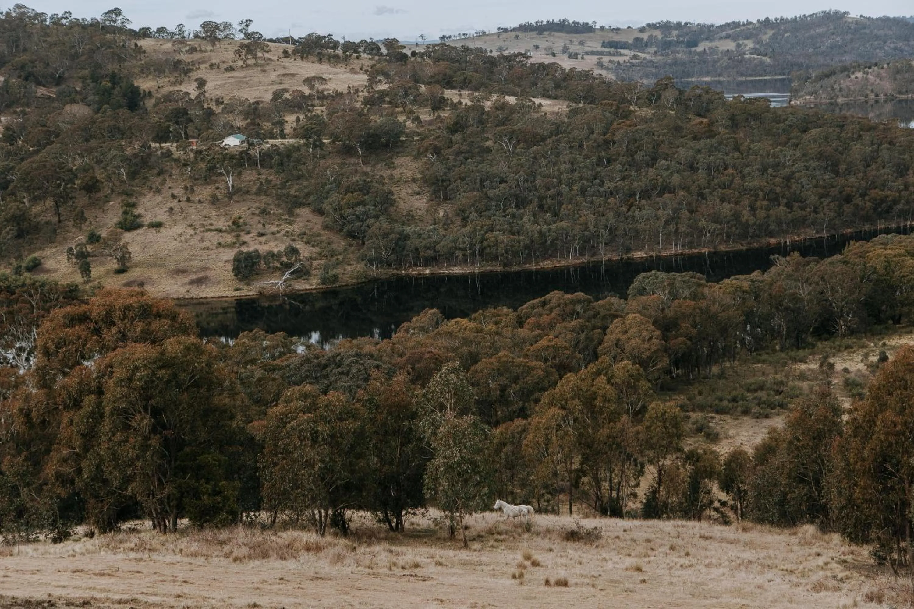 Natural landscape in Eagle View Escape
