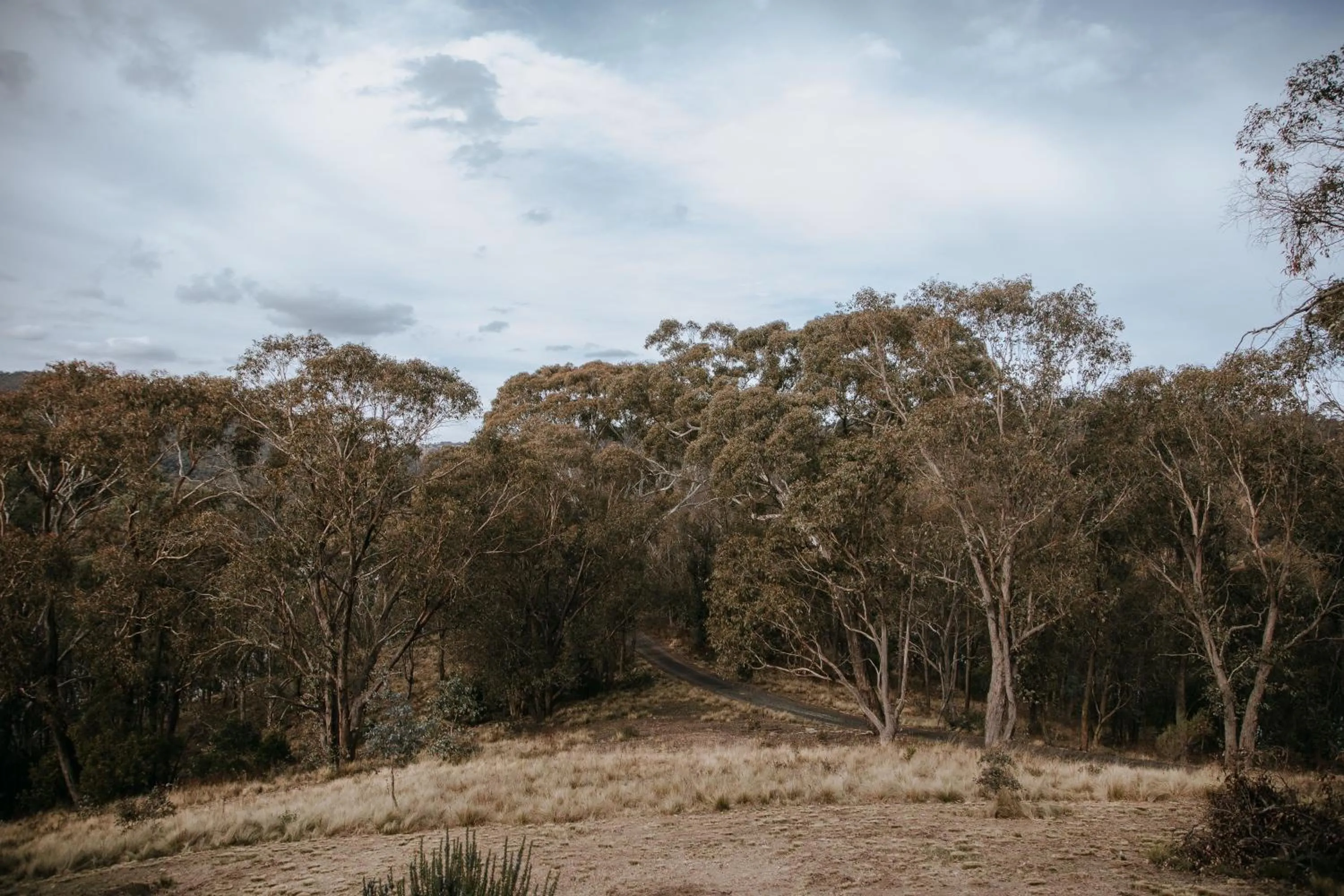 Natural landscape in Eagle View Escape
