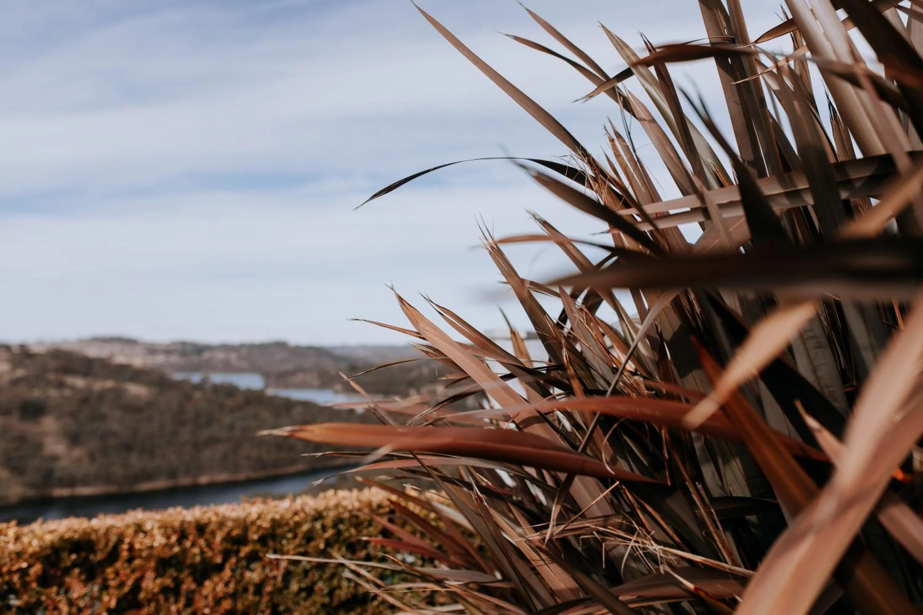 River view in Eagle View Escape