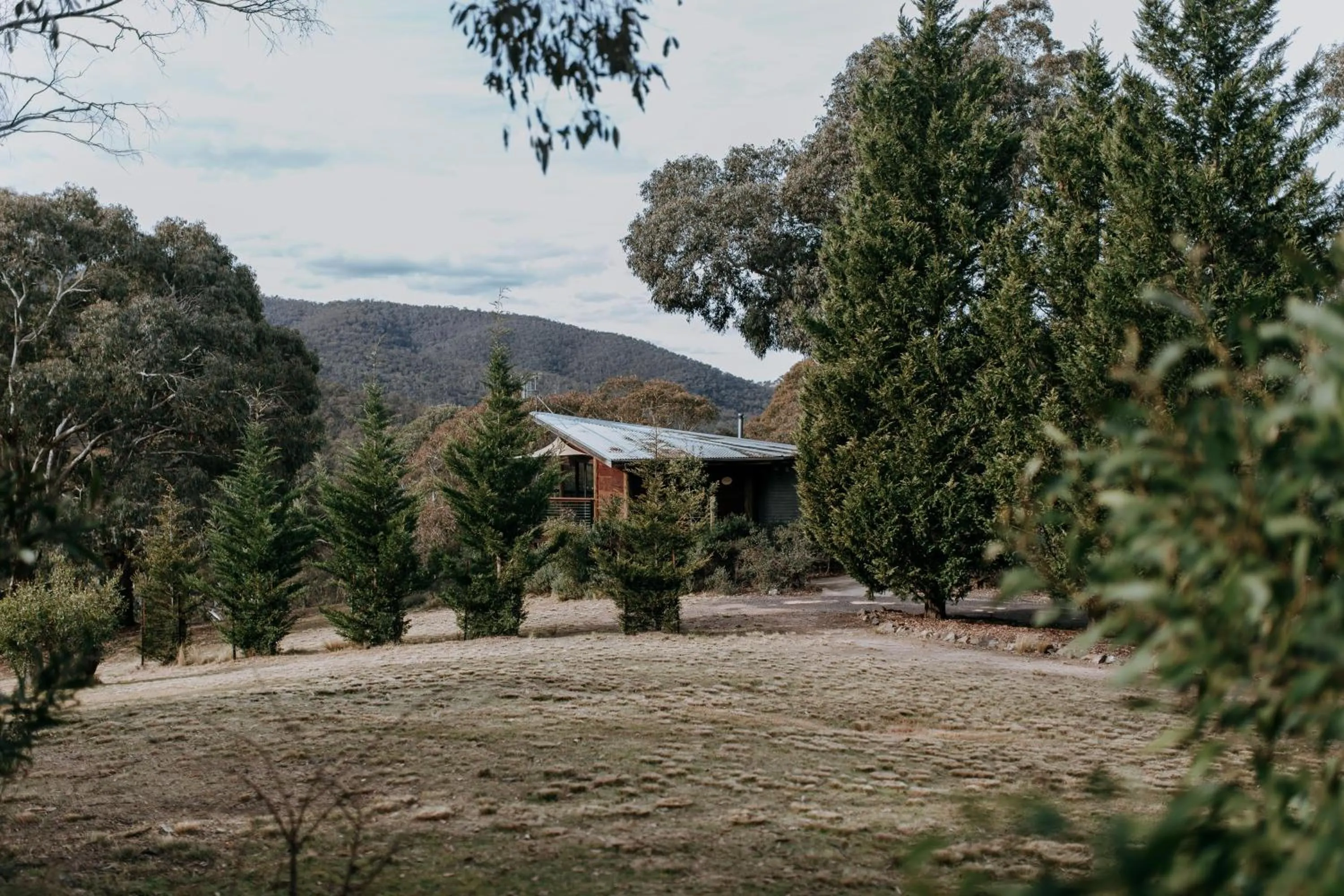 Natural landscape in Eagle View Escape