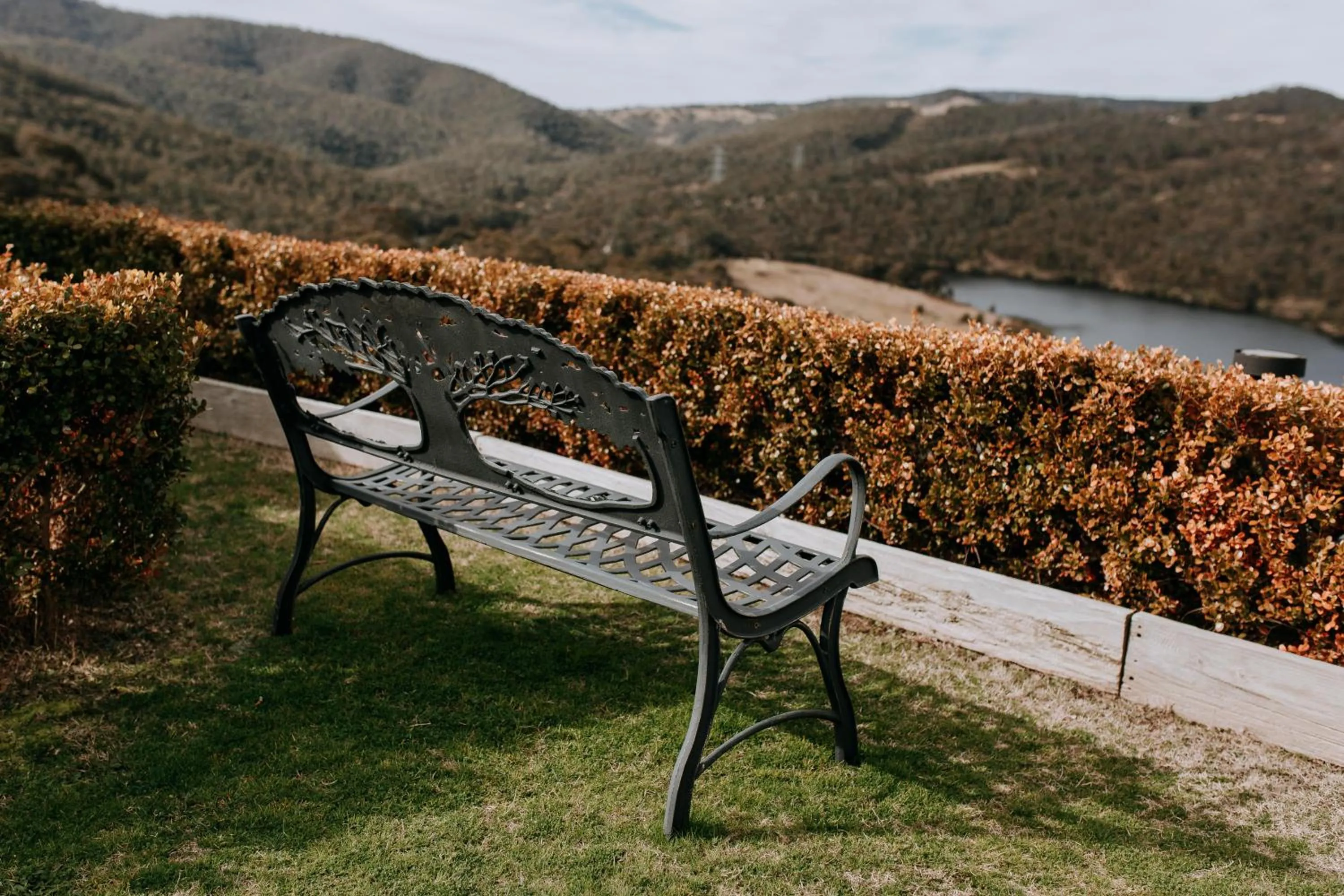 Garden in Eagle View Escape