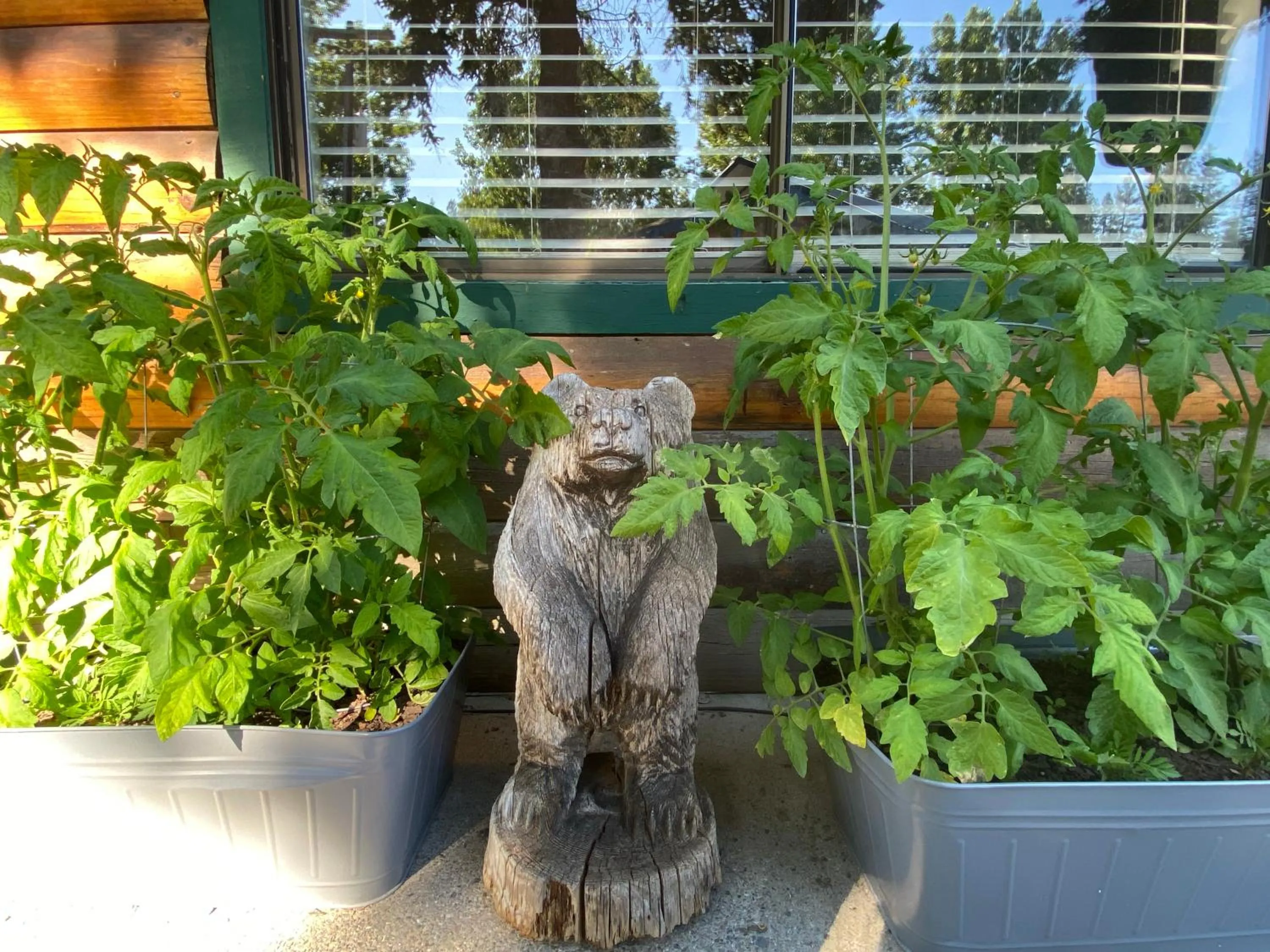 Columbia Point Resort