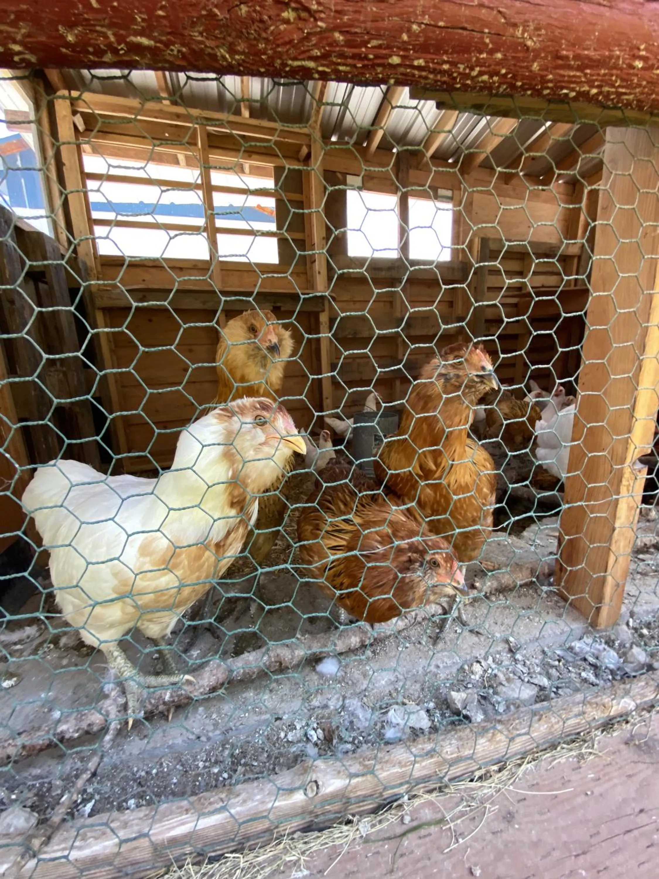 Columbia Point Resort