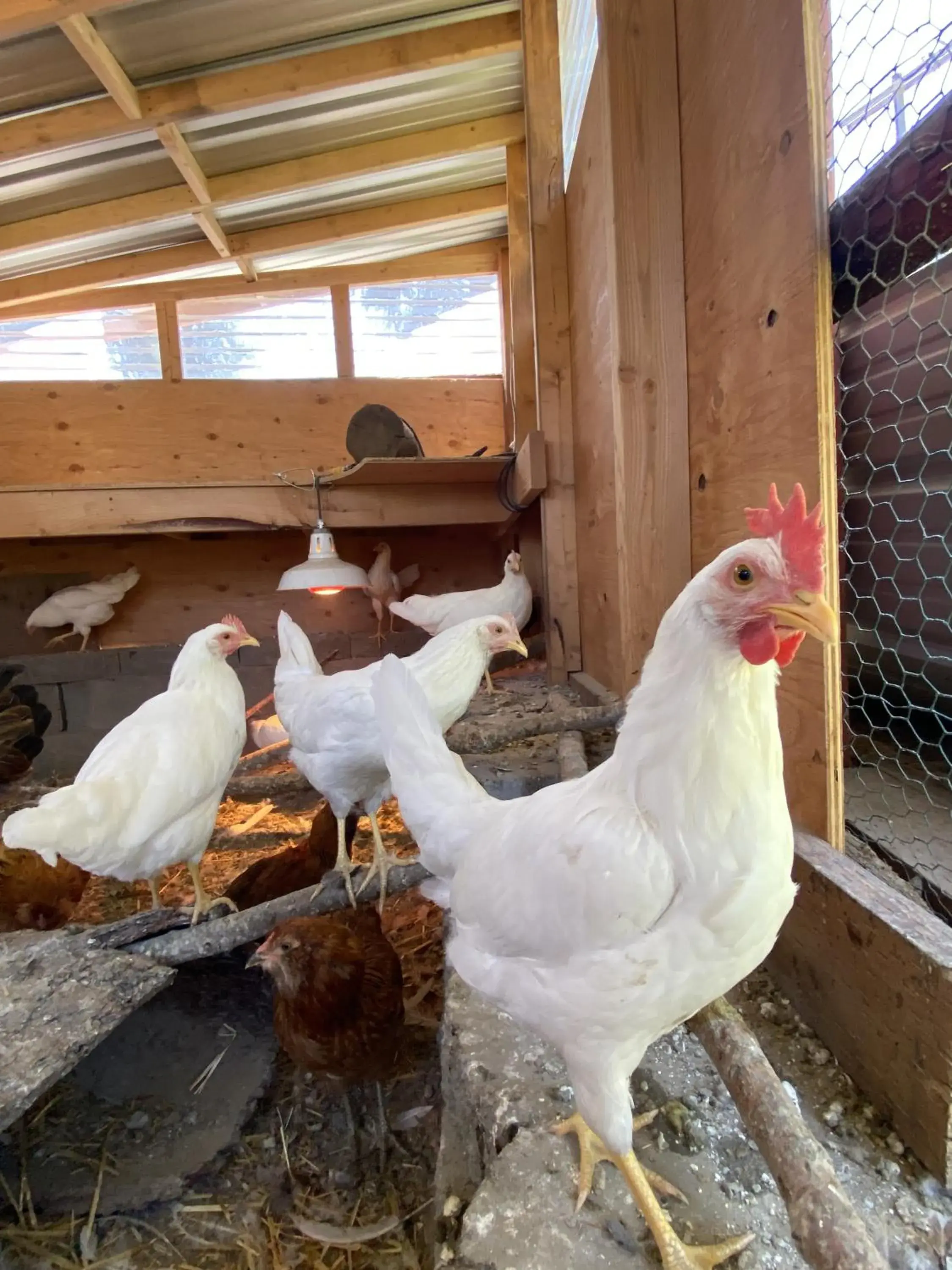 Queen Studio in Columbia Point Resort Queen Studio in Columbia Point Resort