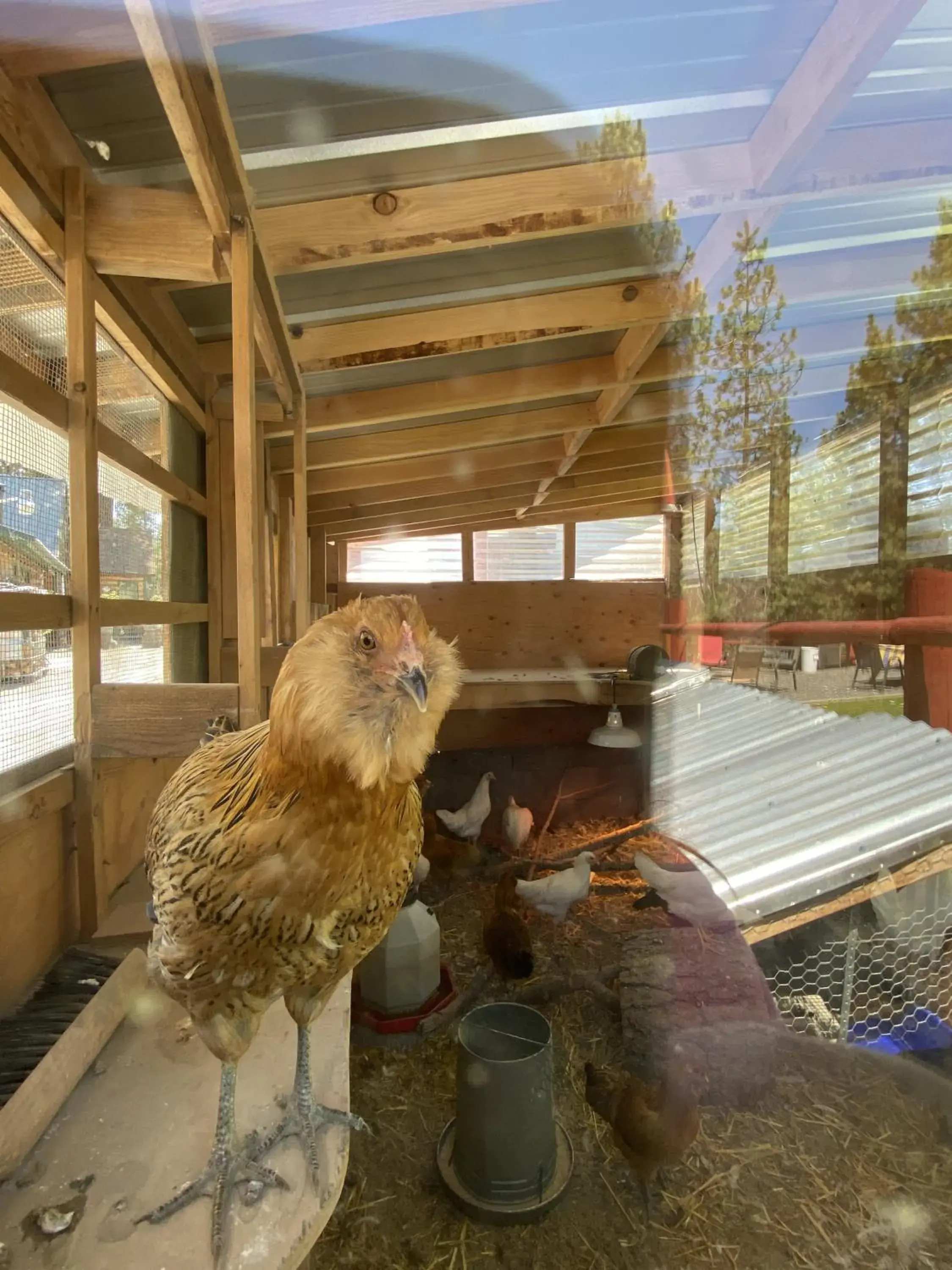 Queen Studio in Columbia Point Resort Queen Studio in Columbia Point Resort