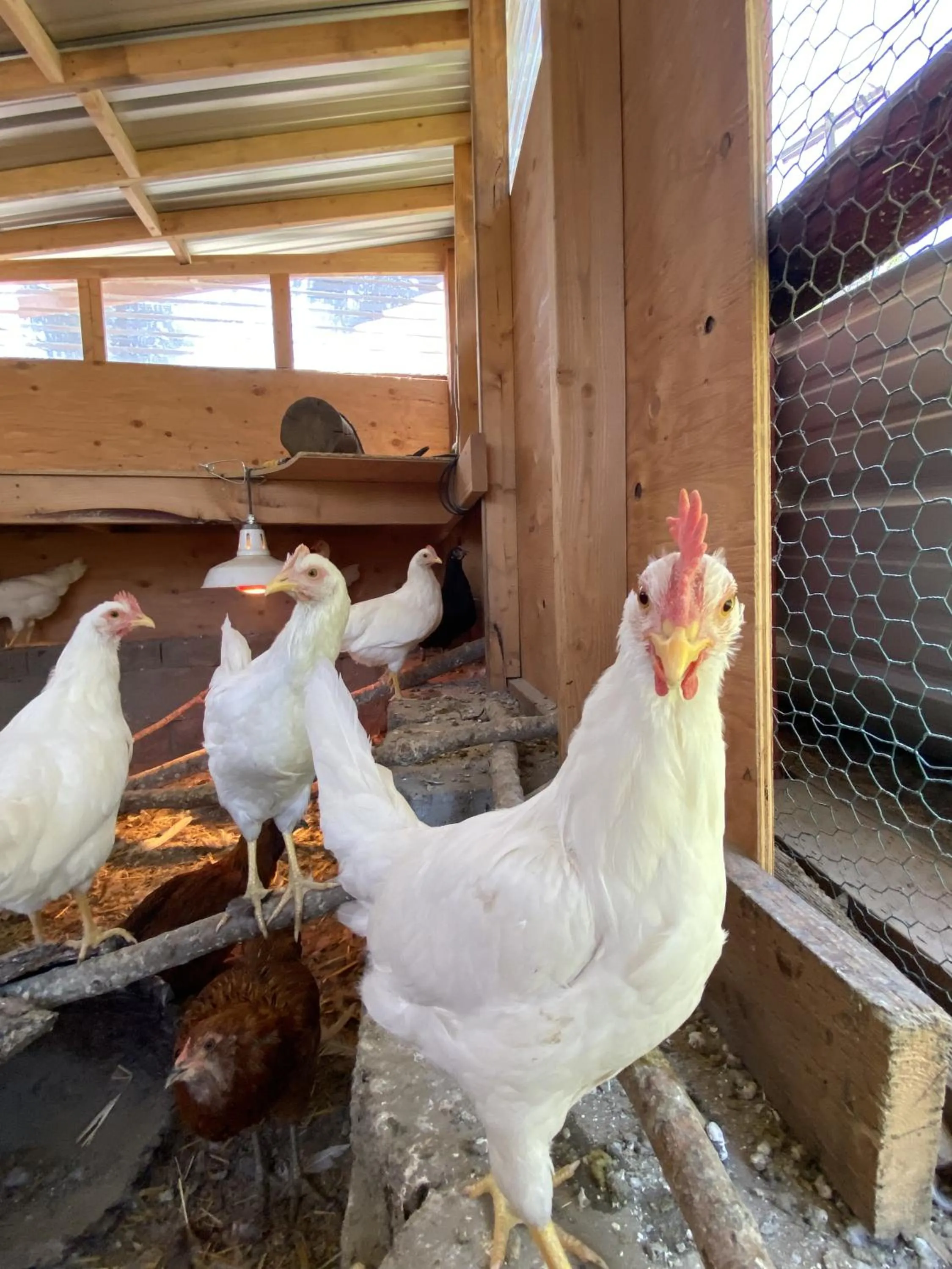 Columbia Point Resort