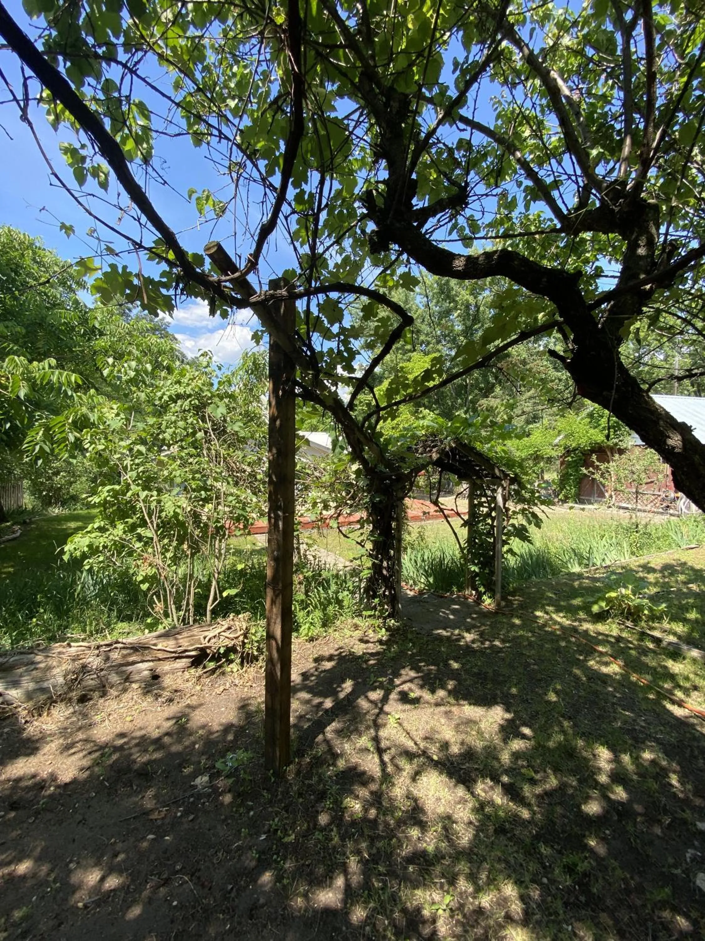 Columbia Point Resort