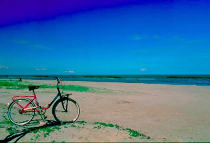 Beach in Da Santo Hotel Ristorante Pizzeria