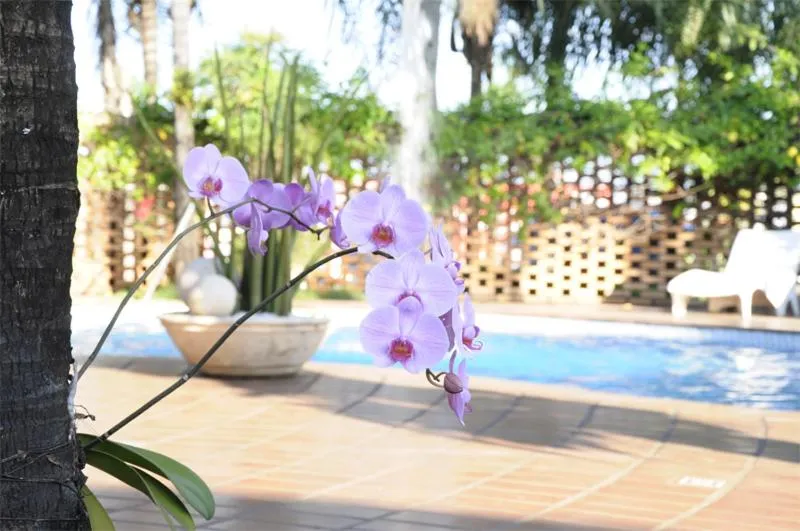 Swimming pool in Vila Romana Park Hotel